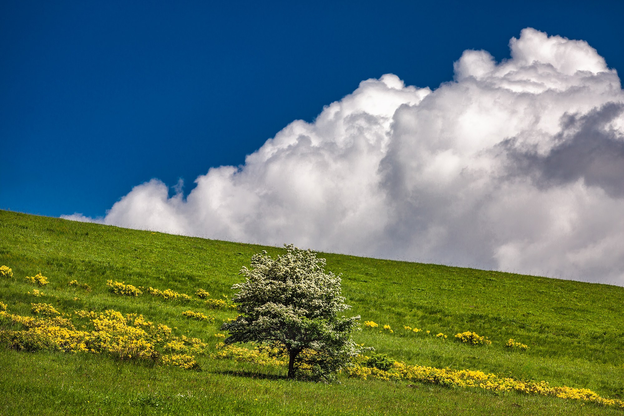 Северный Кавказ, Россия. Фотограф Владимир Остапенко