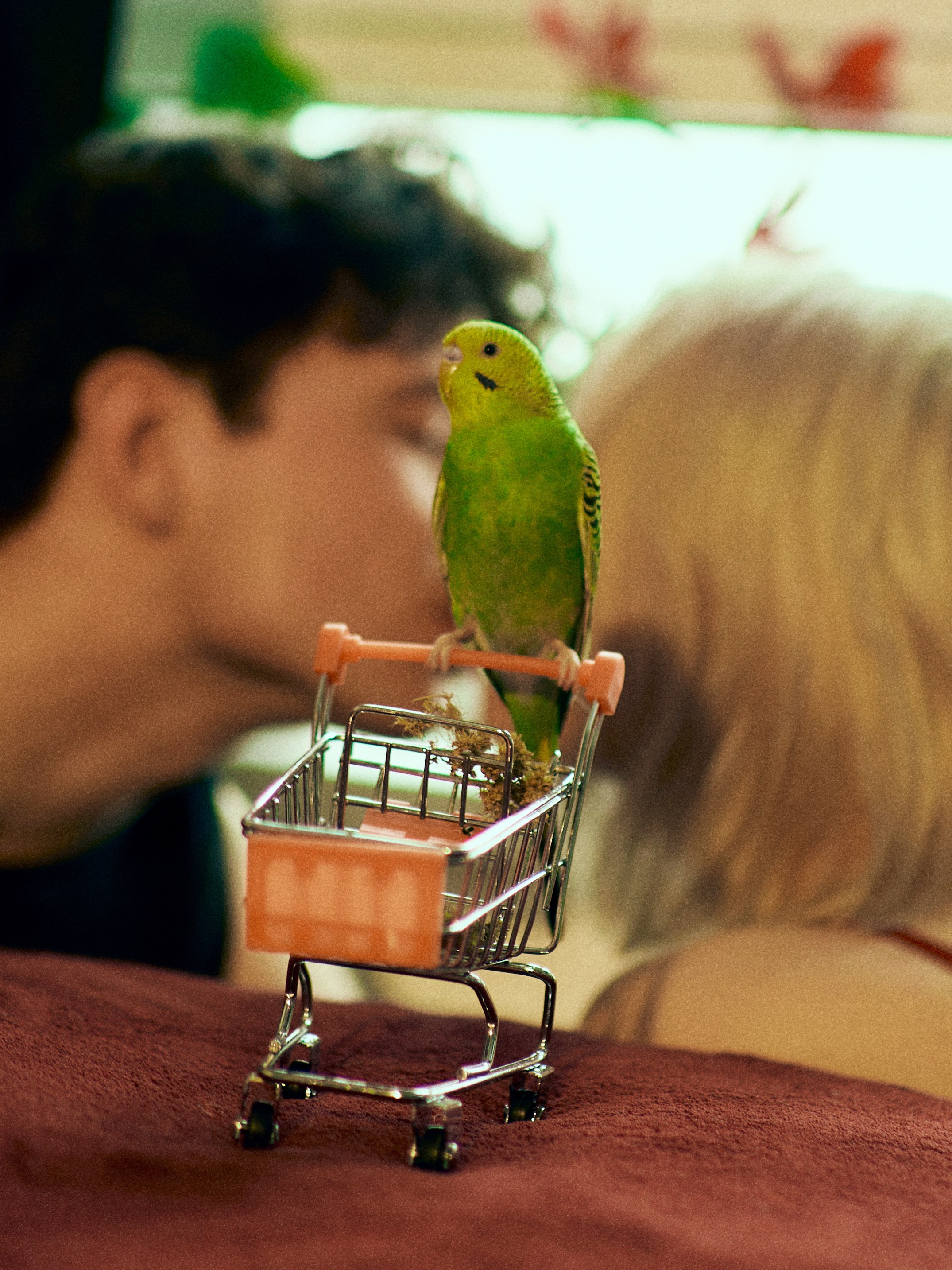 N A S T A Y & N I K I T A. Портретный фотограф в Москве