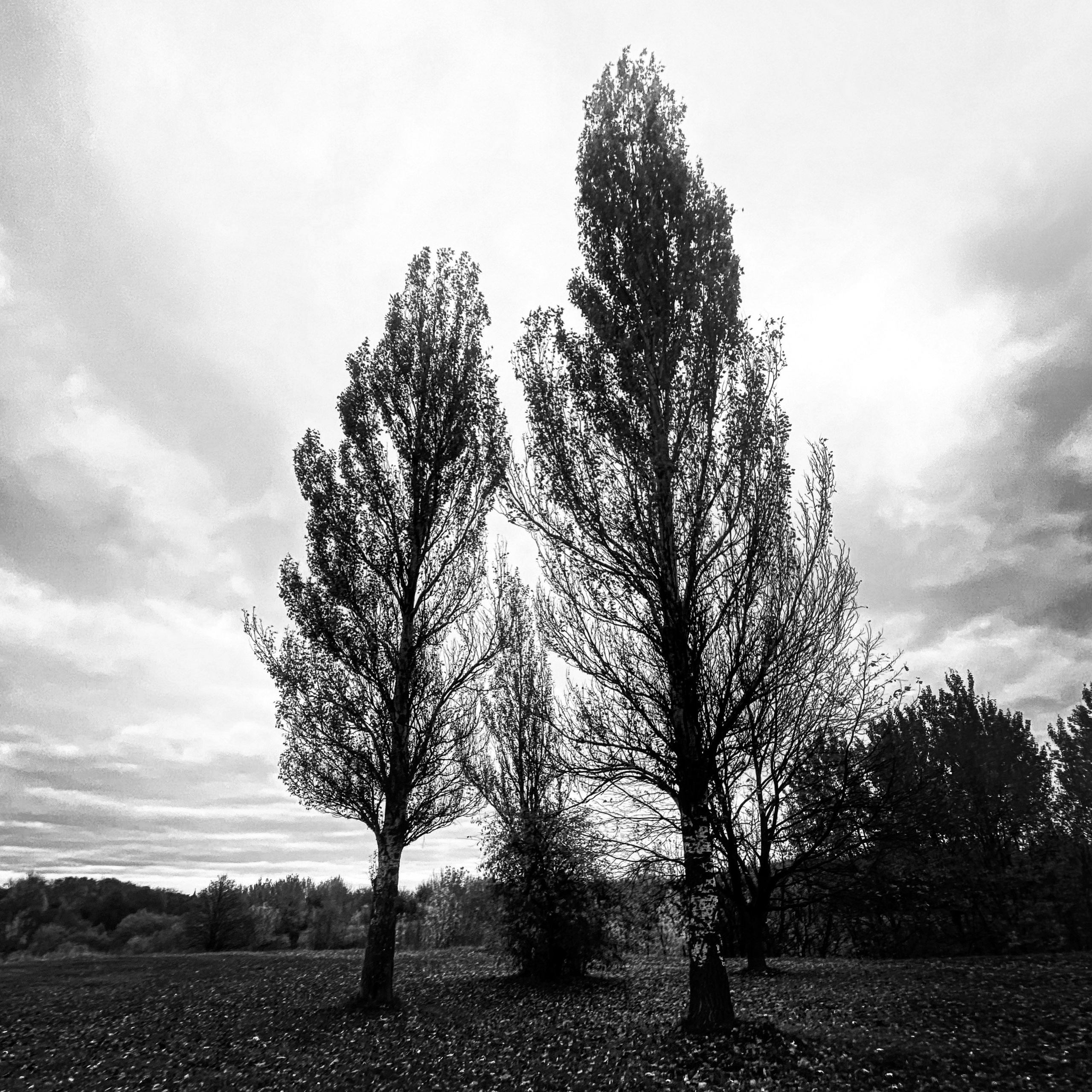 Работы с телефона. Свадебный фотограф в Москве Сафонова Анна