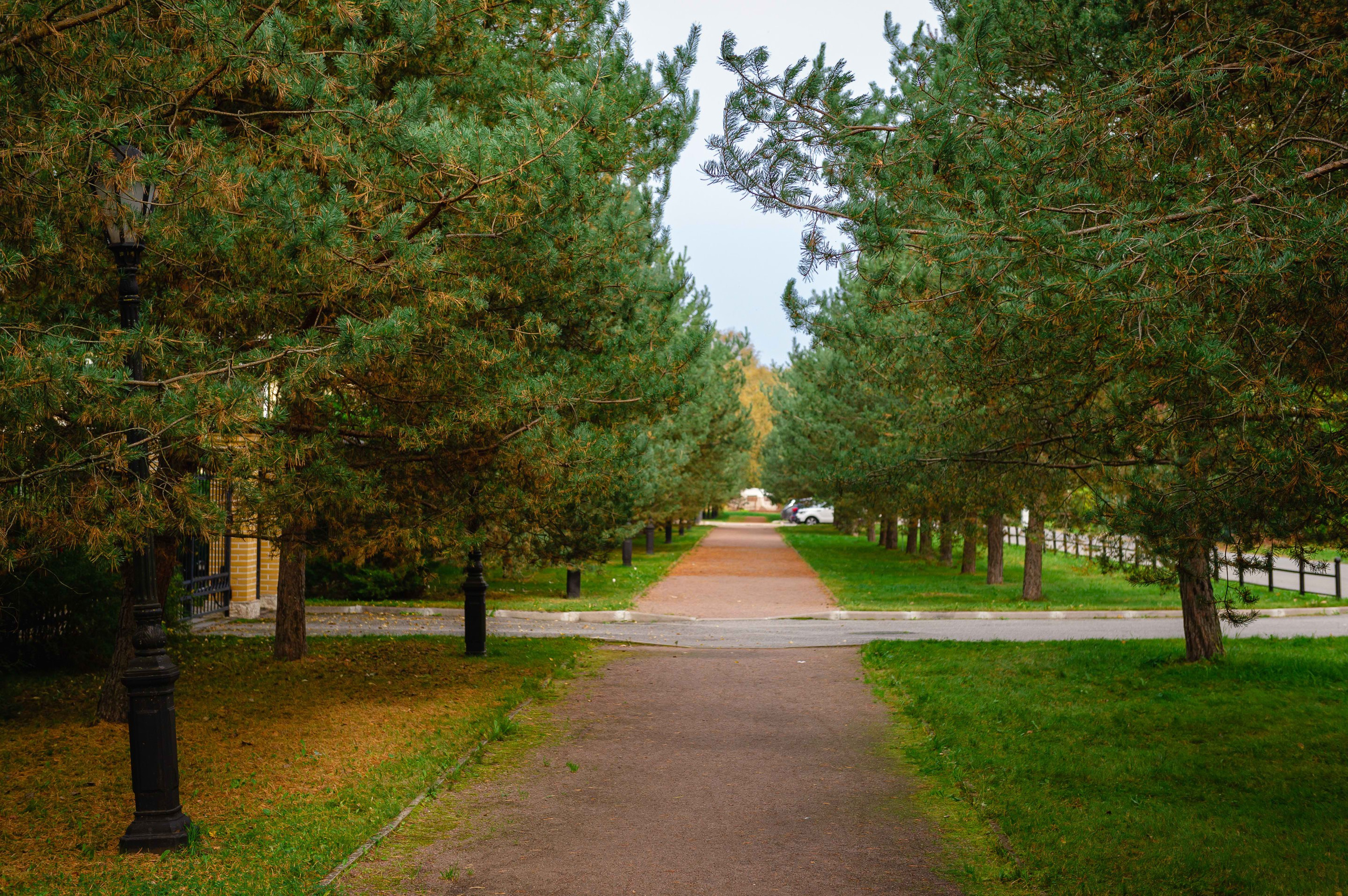 2023.09. Фотограф Алексей Алексеев