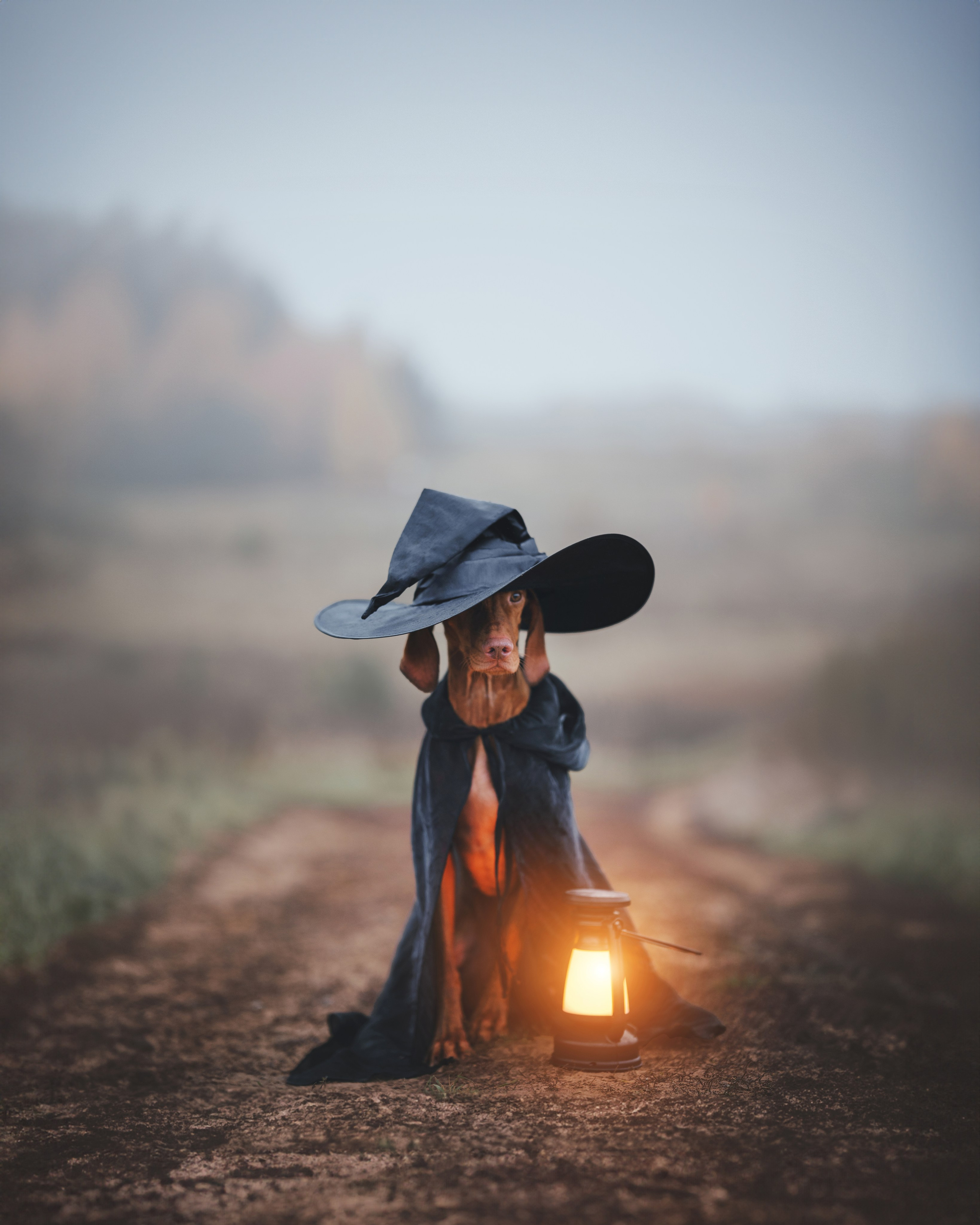 Трисс. Фотограф анималист Осипчикова Мария