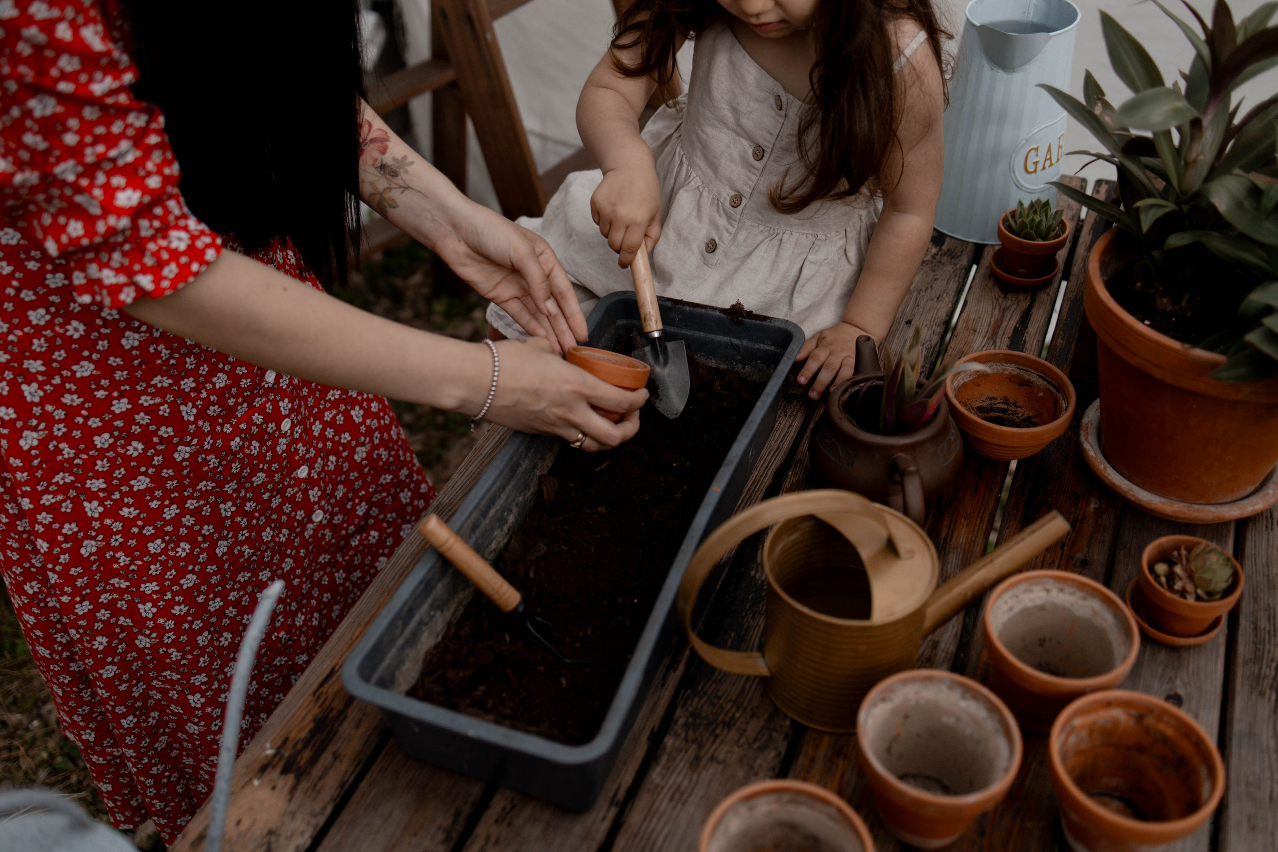 Дачная история