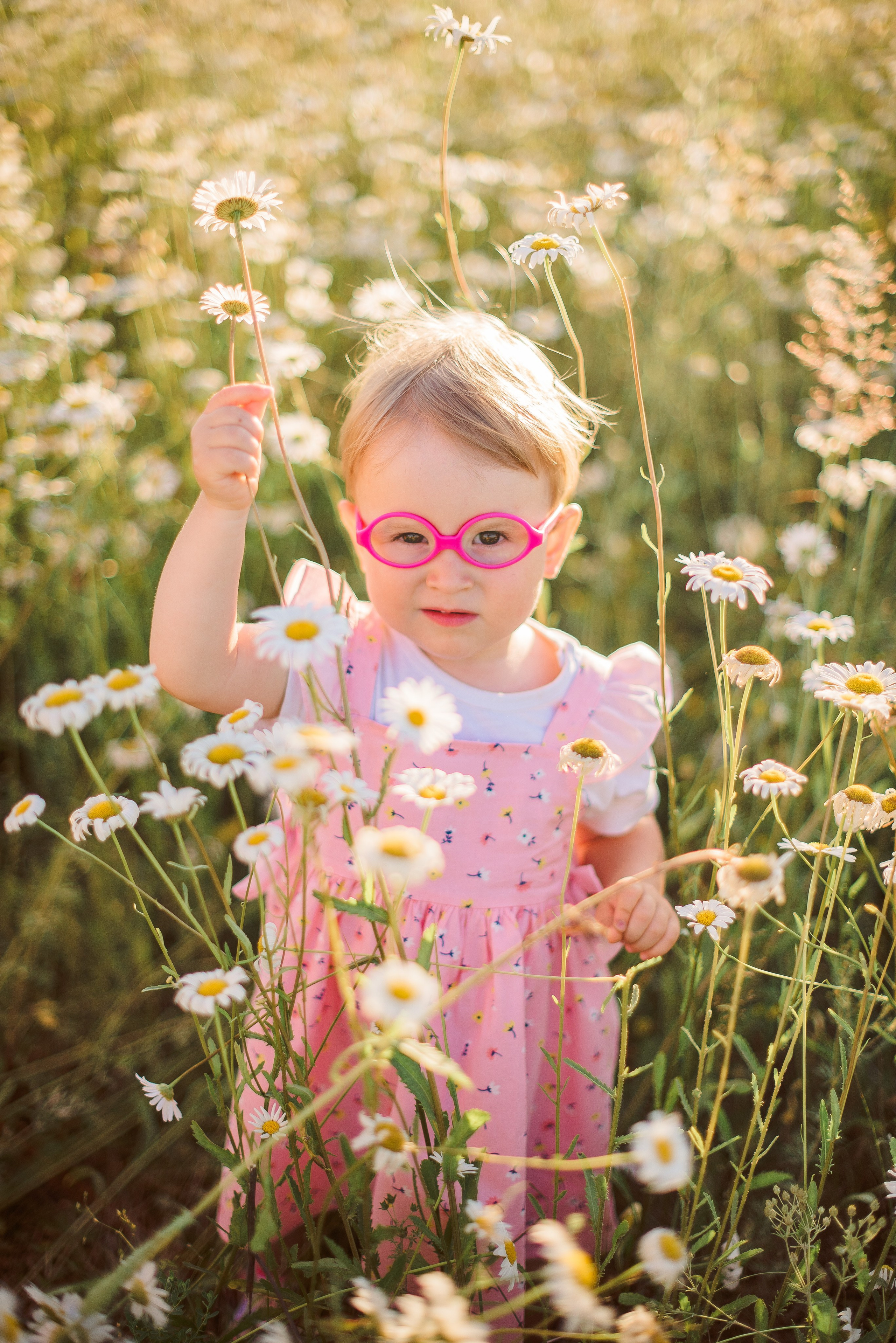 РОМАШКОВАЯ ИСТОРИЯ. Свадебный и семейный фотограф РИТА БОЧКАРЁВА