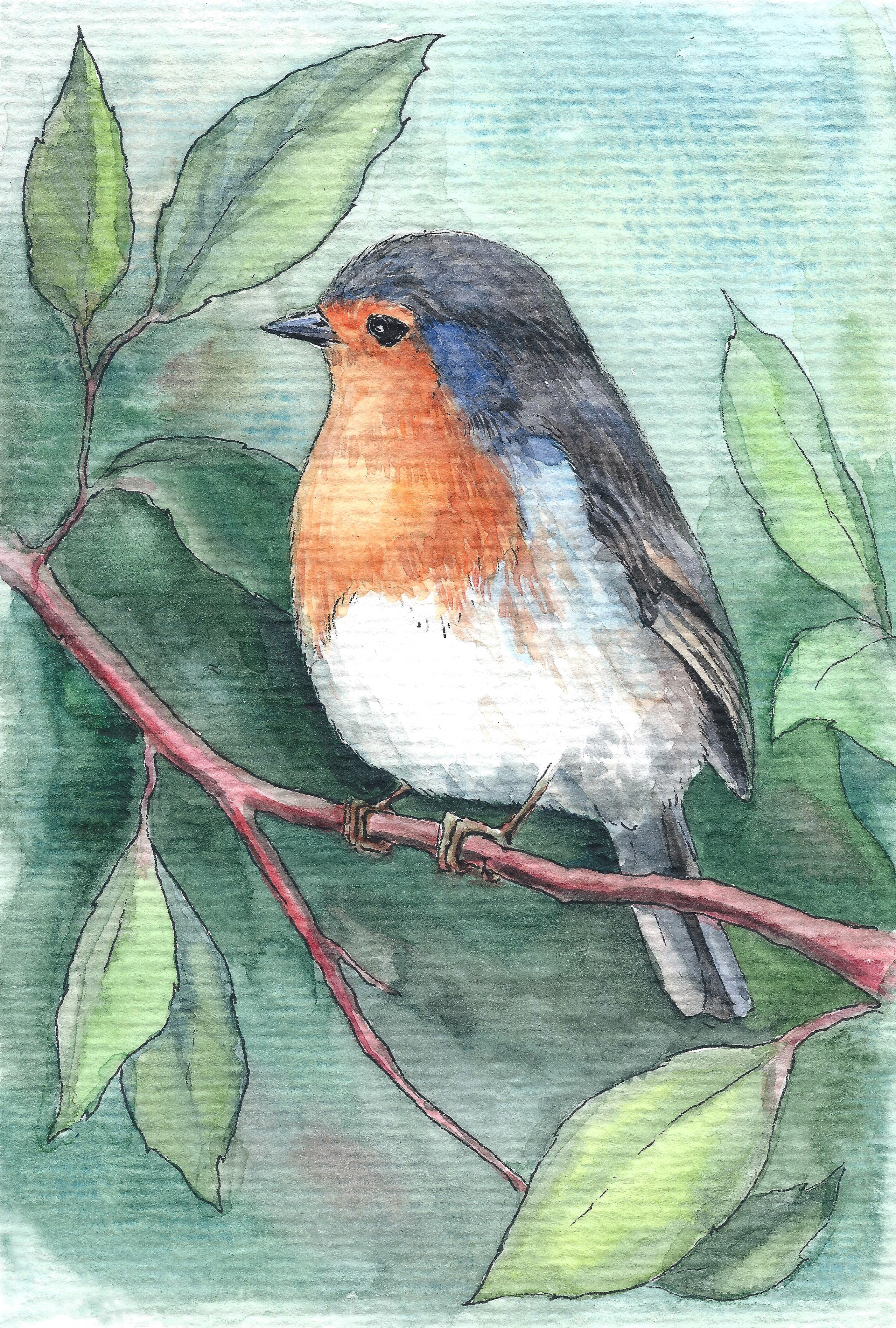 "Птичка", 2006