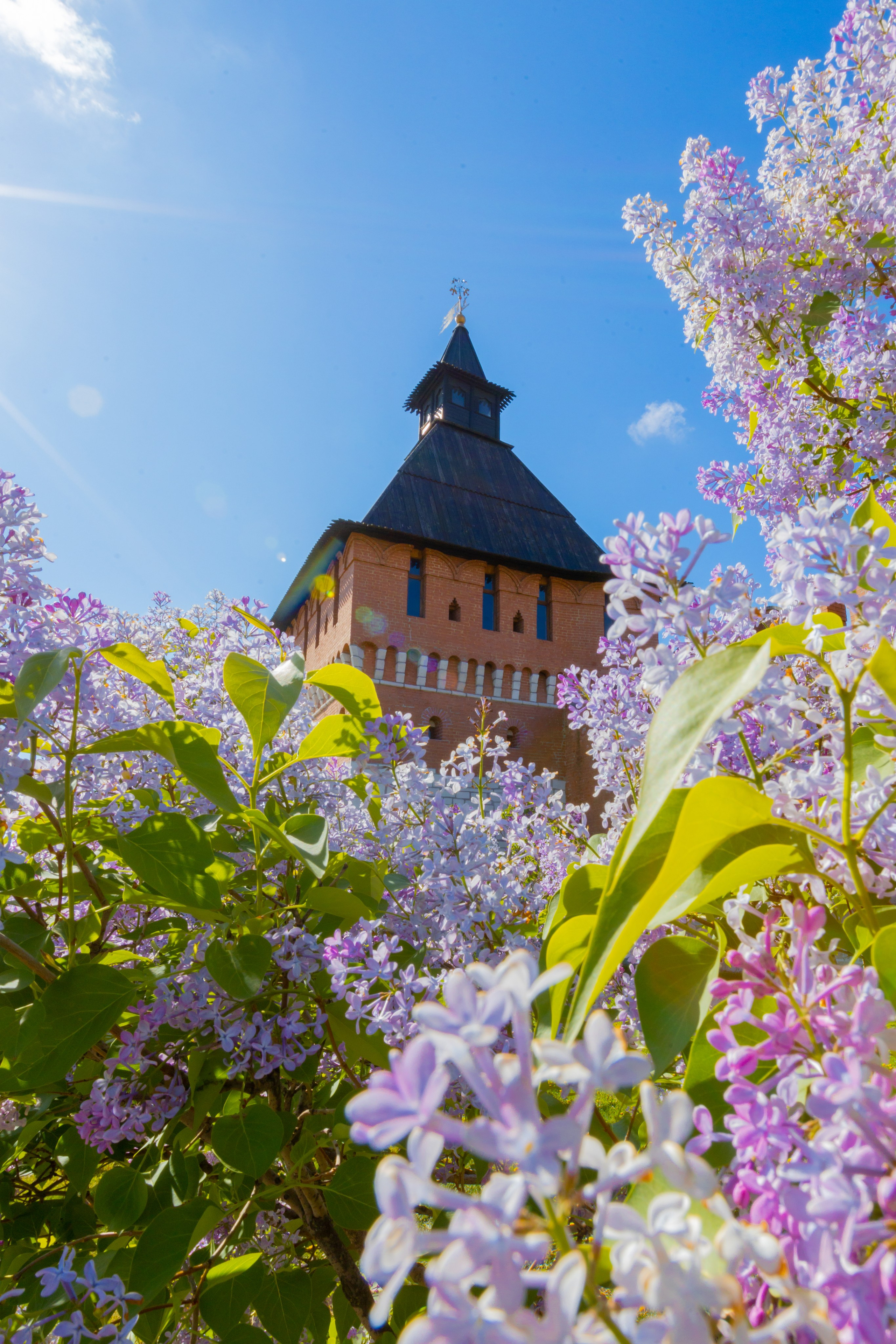 Весеннее цветение в Туле. Фотограф в Туле Крупский АнДРей. Фотостудия «КАДР71» в Туле