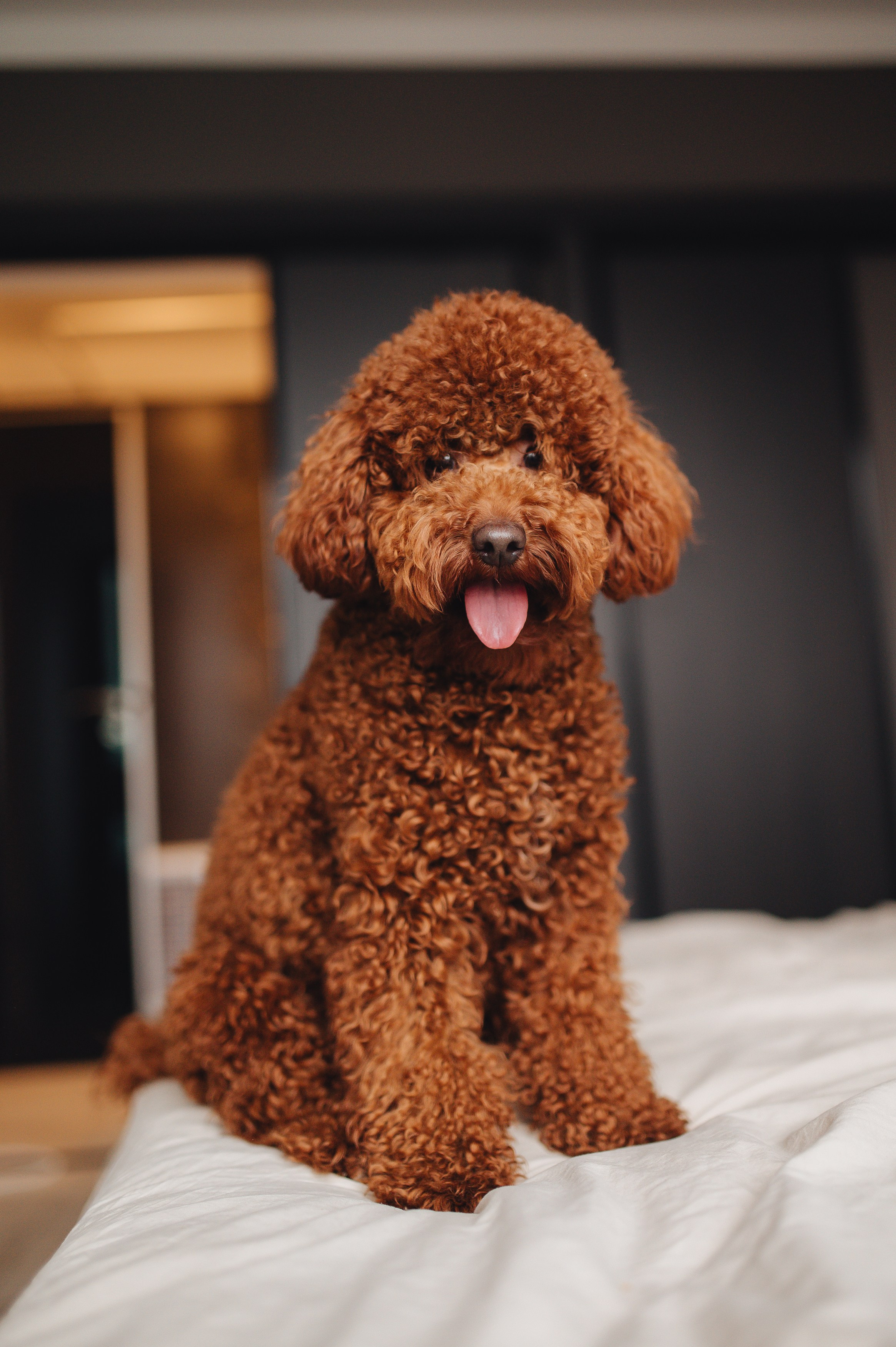 Рената и Луи. Фотограф Прага | Photographer Prague| Фотограф в Праге Яра Куркус