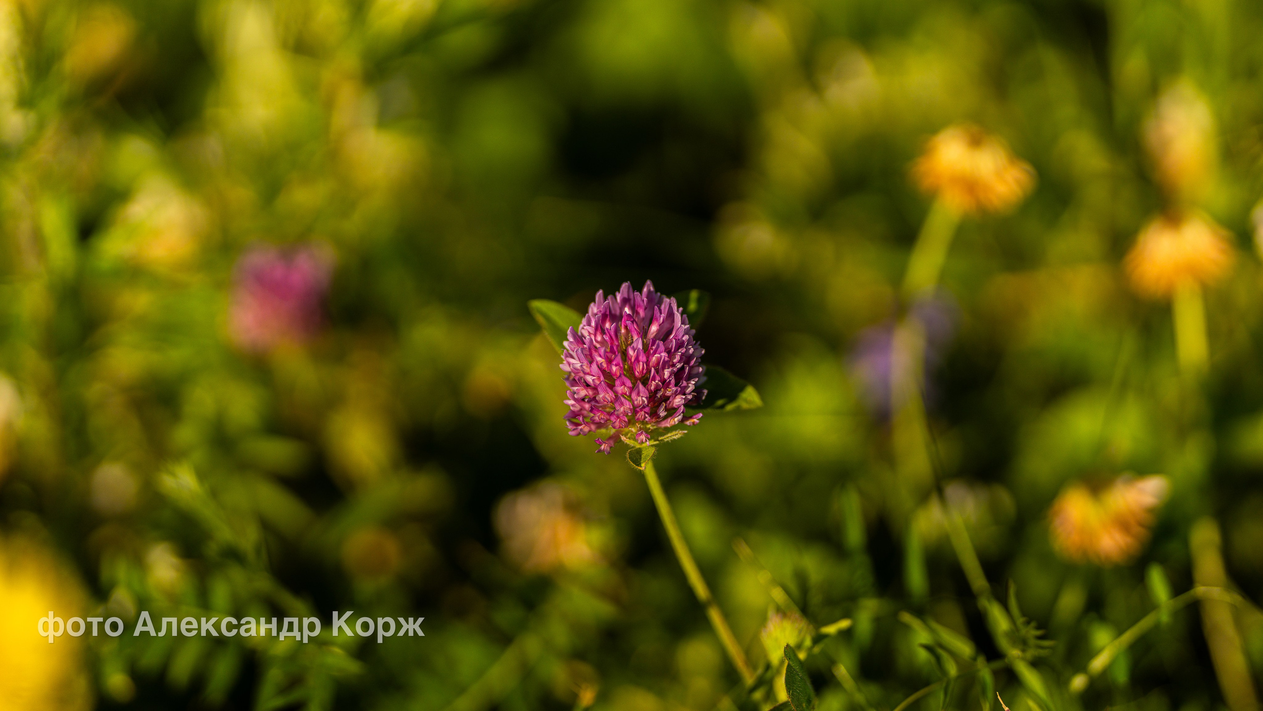 Фотографии Северного поселка Айхал. Фотографии и видеосъемка, Айхал, Удачный, Якутия. Фотографии Айхал