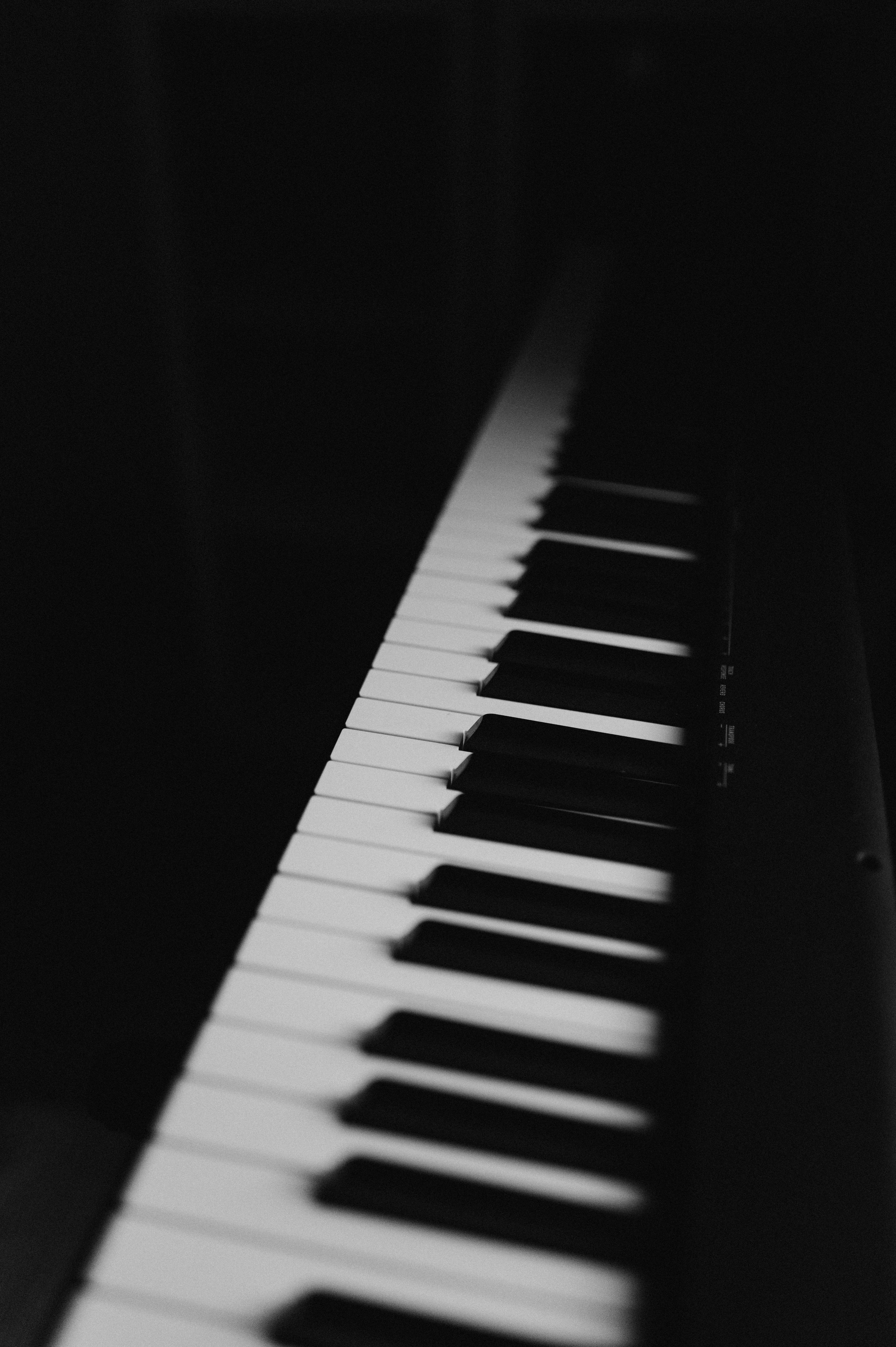 Портмоне, ларек, получка. Свадебный фотограф в Москве Юлия Лисой