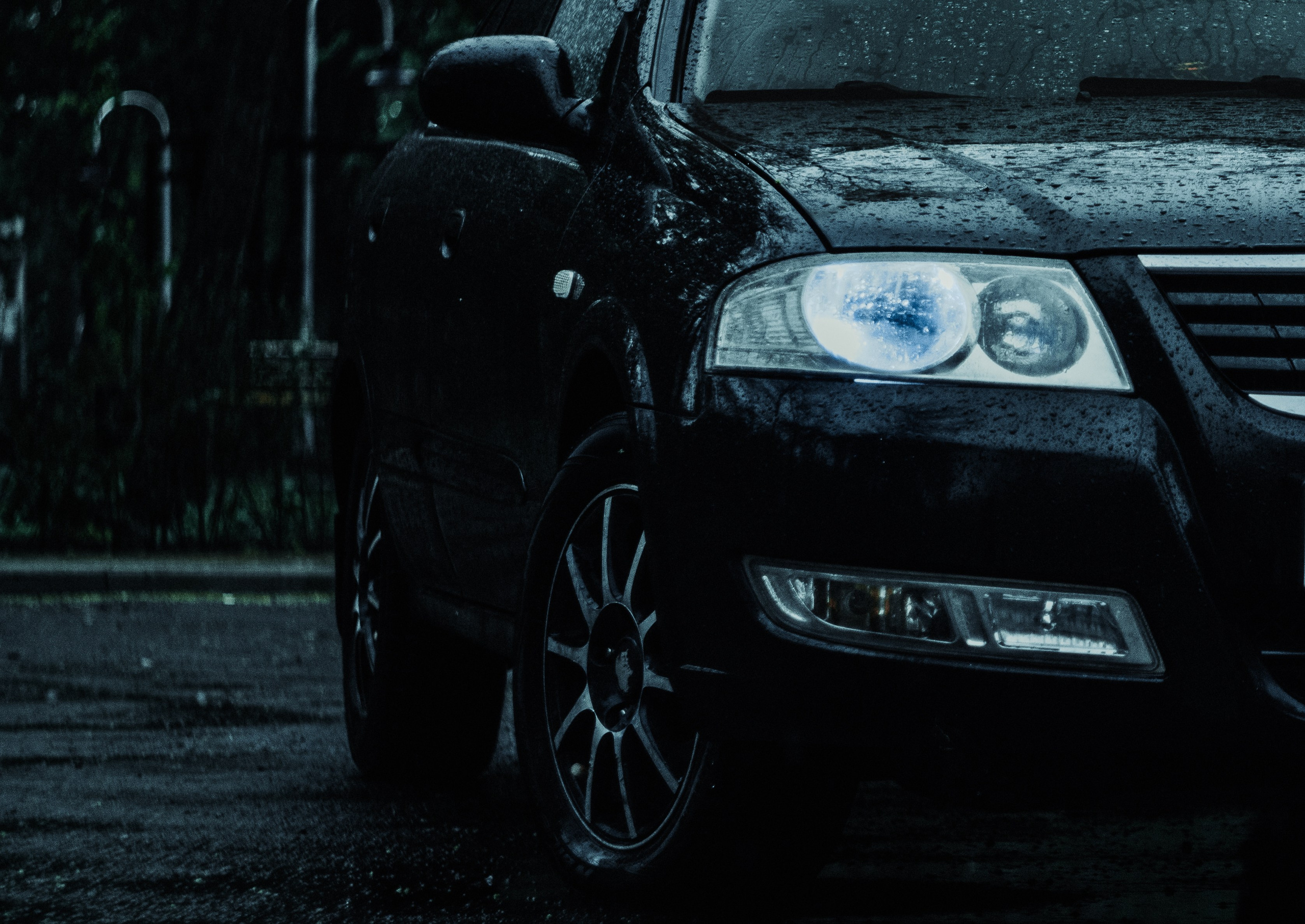 CAR. Фотограф. Пейзажи, макро, портреты. Город Енакиево, без границ в съёмке