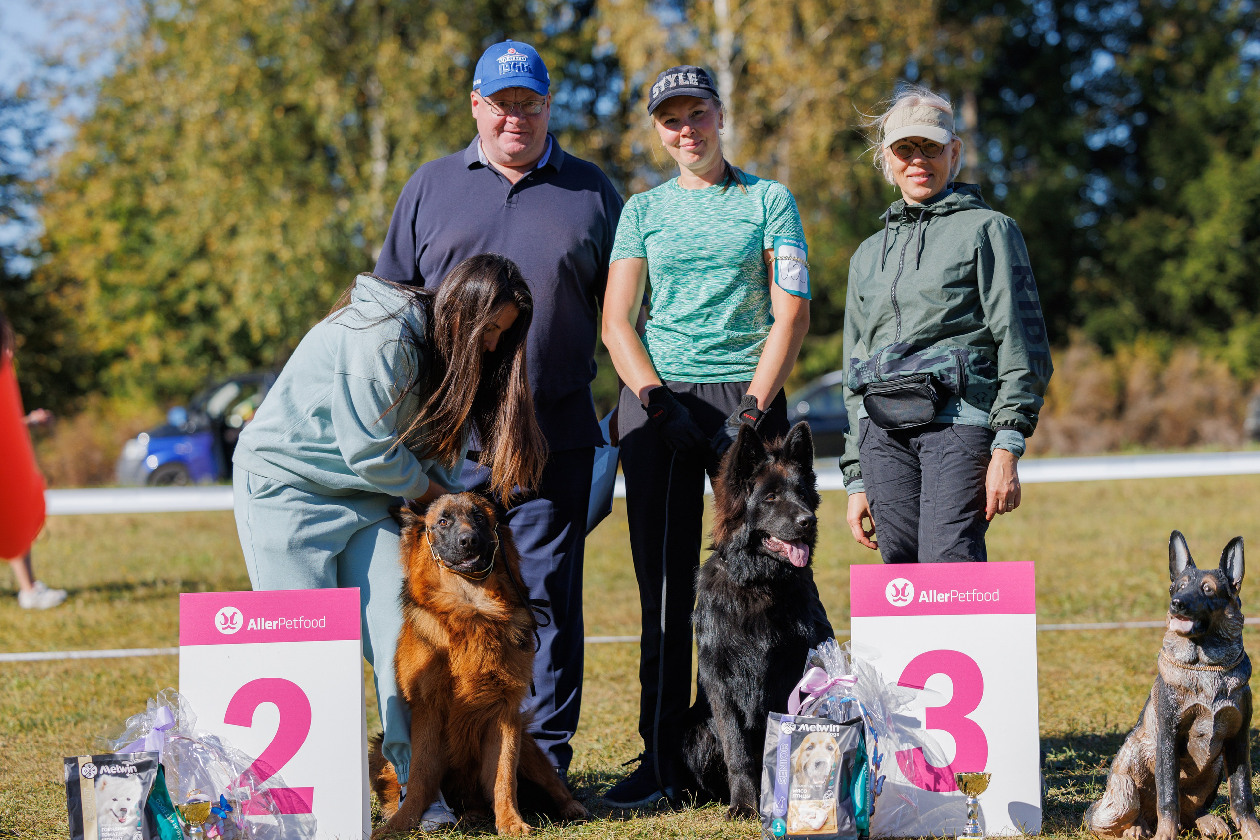 Тверь немецкие овчарки 22.09.2024. Фотограф-анималист Юлия Германика