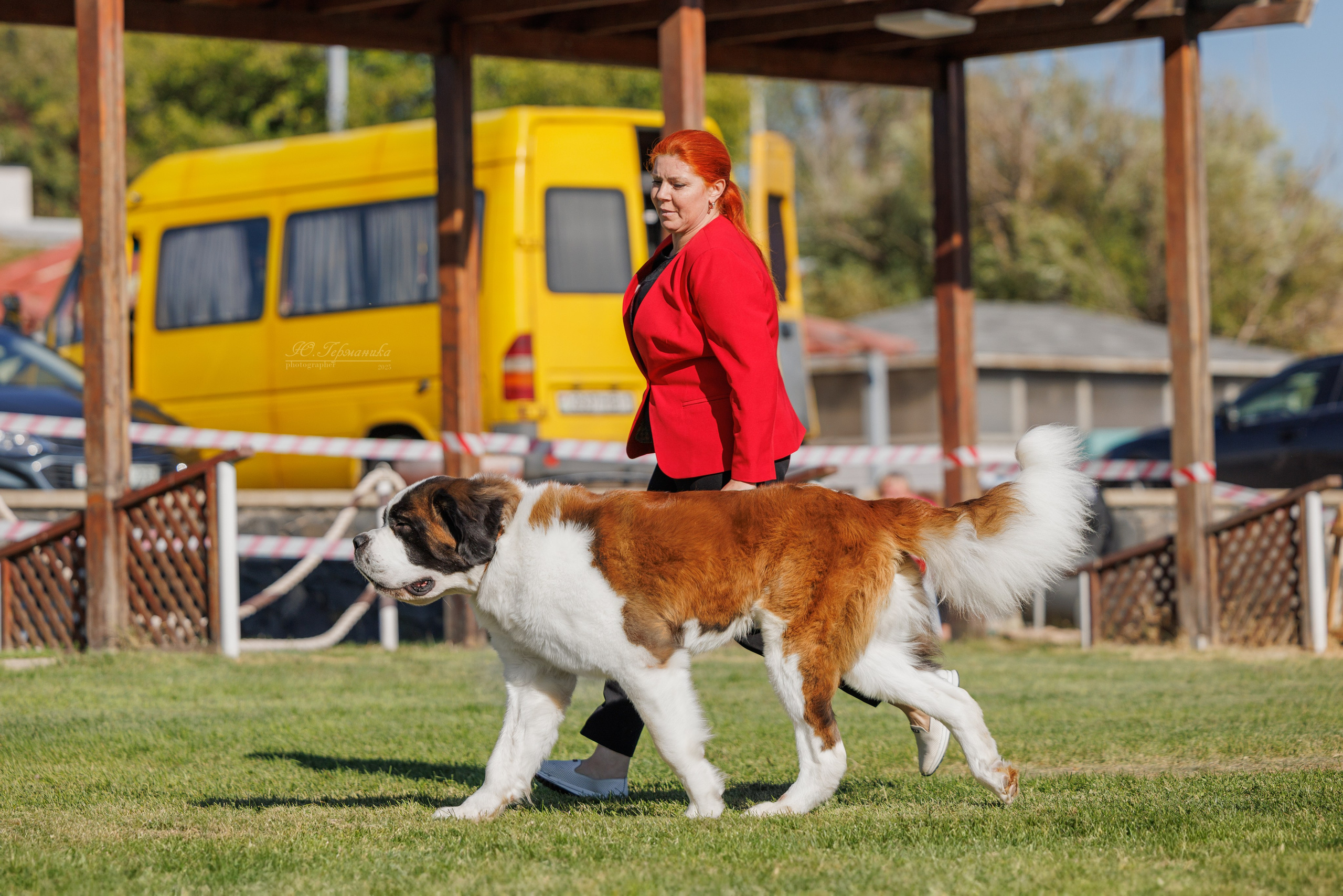 Ереван 14-16.10.2025. Фотограф-анималист Юлия Германика