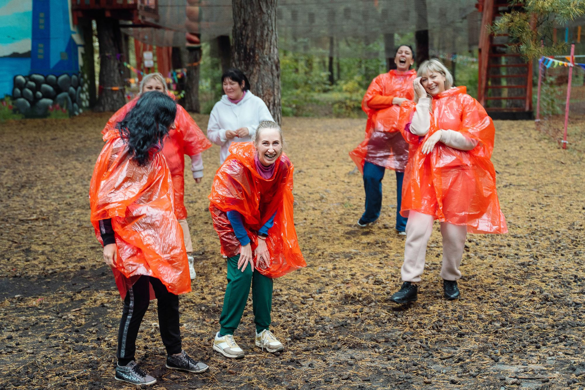 20220924 Профикалор