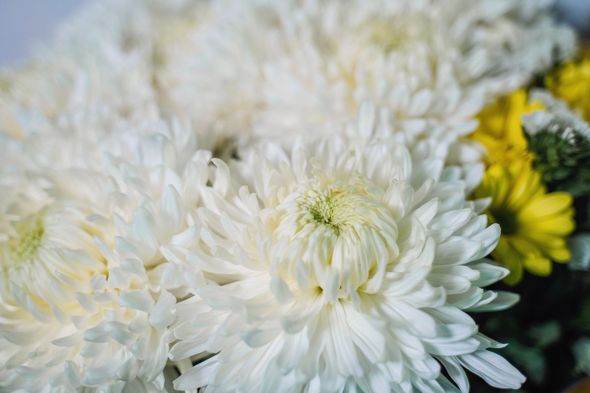 20220903 план Б