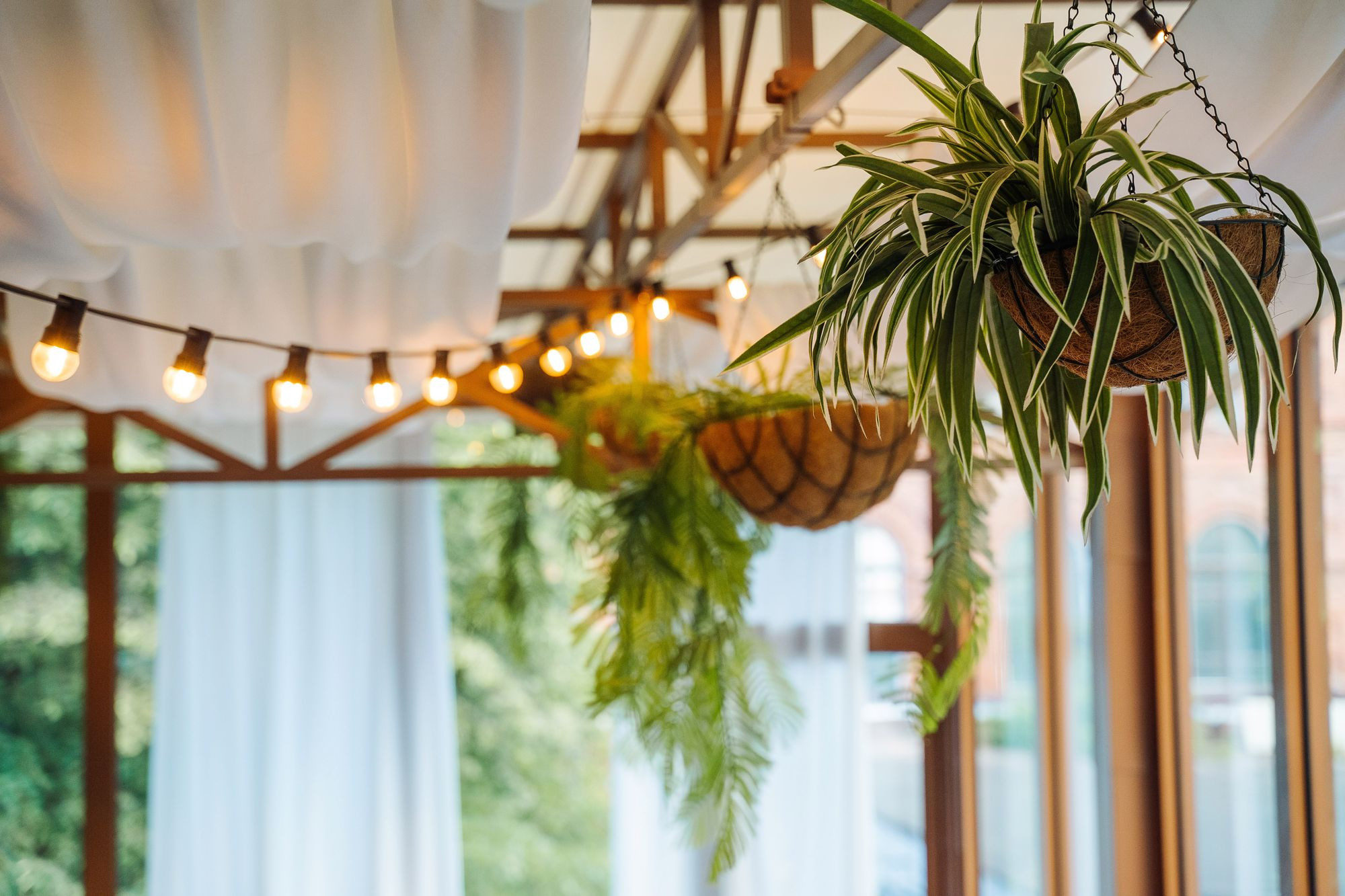 20220623 Купи223