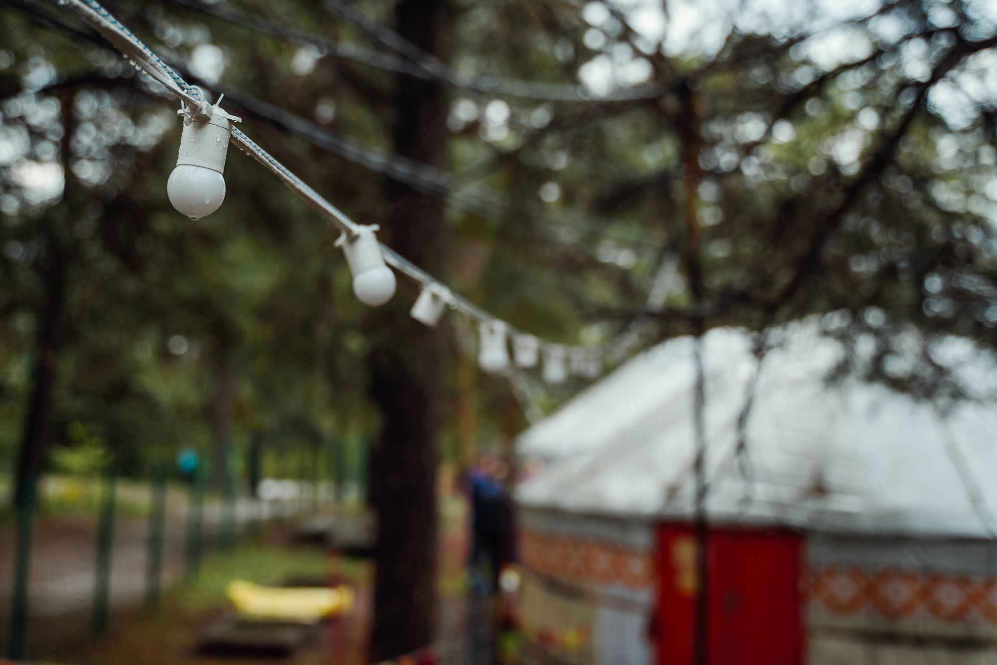 20220924 Профикалор