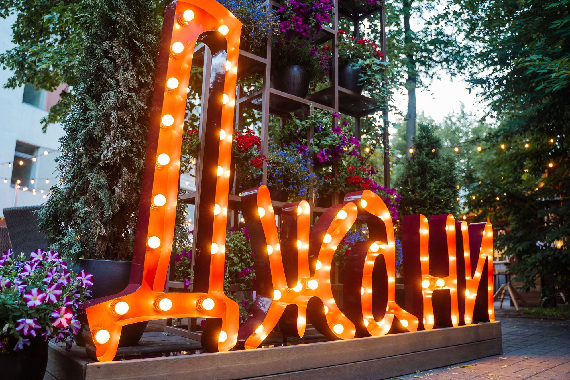 20220623 Купи223