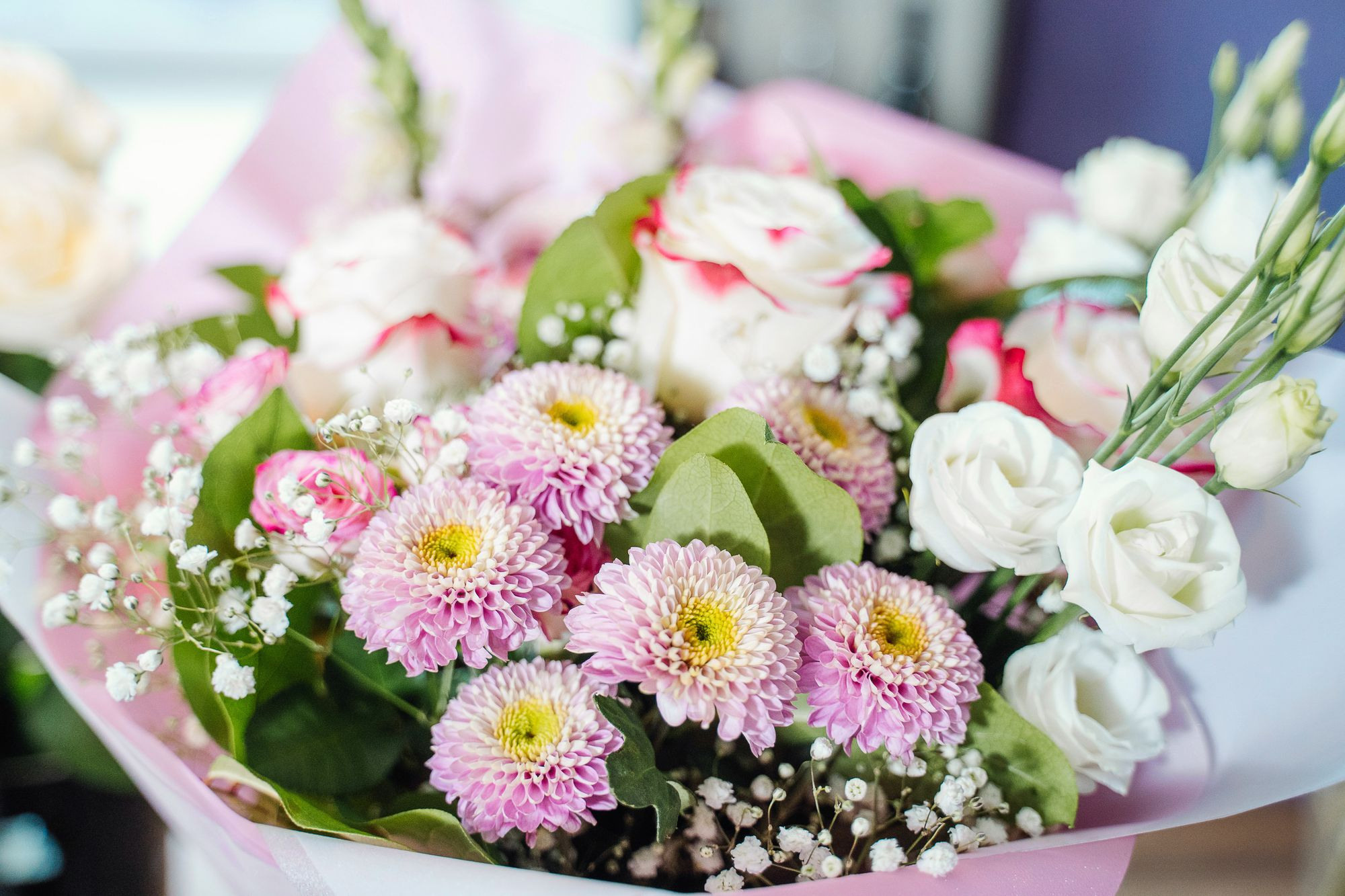 20220924 Профикалор