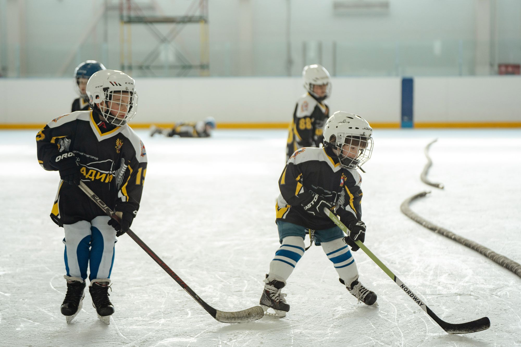 20220528 фок хоккей радий