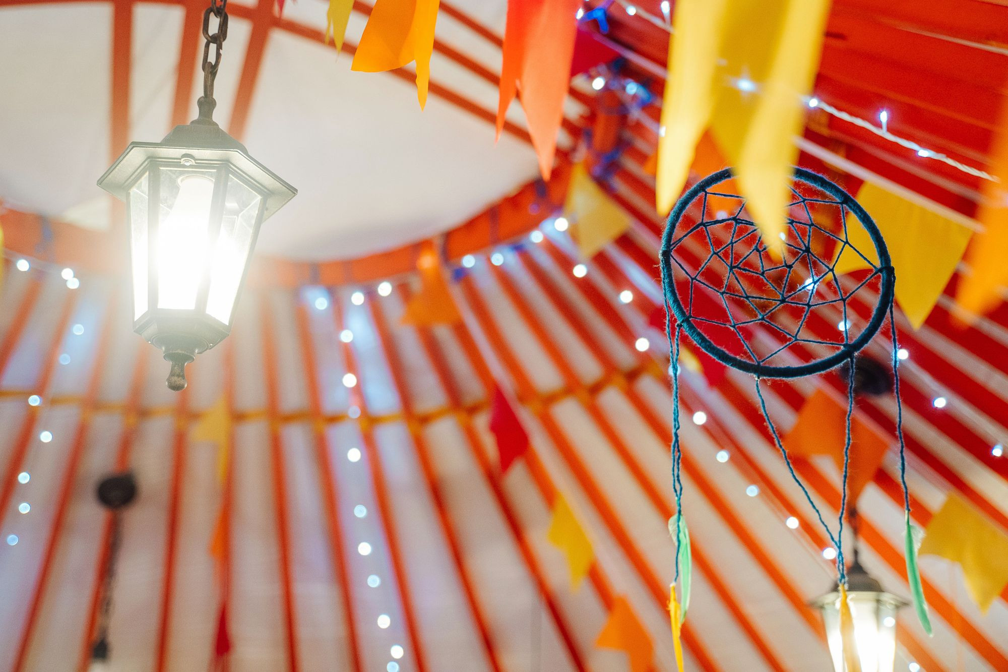 20220924 Профикалор