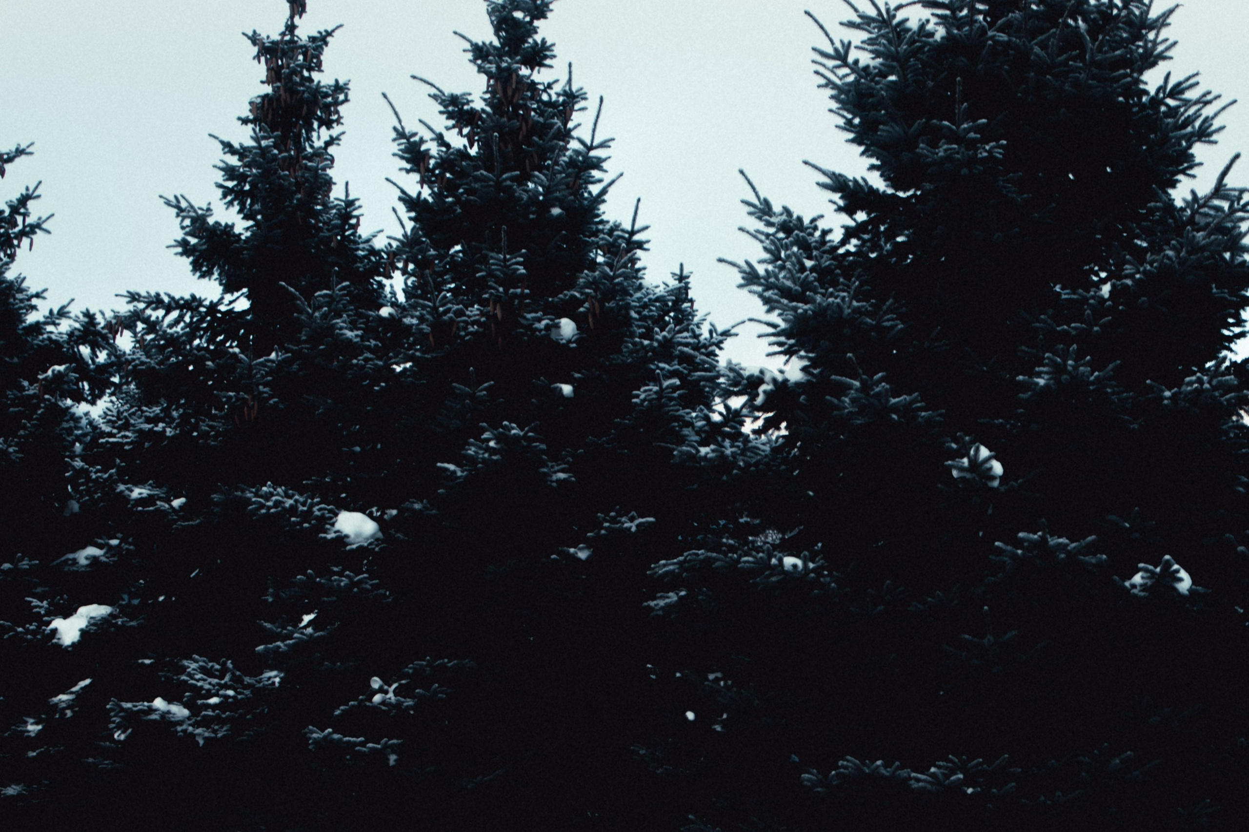 Маршрут ветеранов — электросила. Анна Мильч