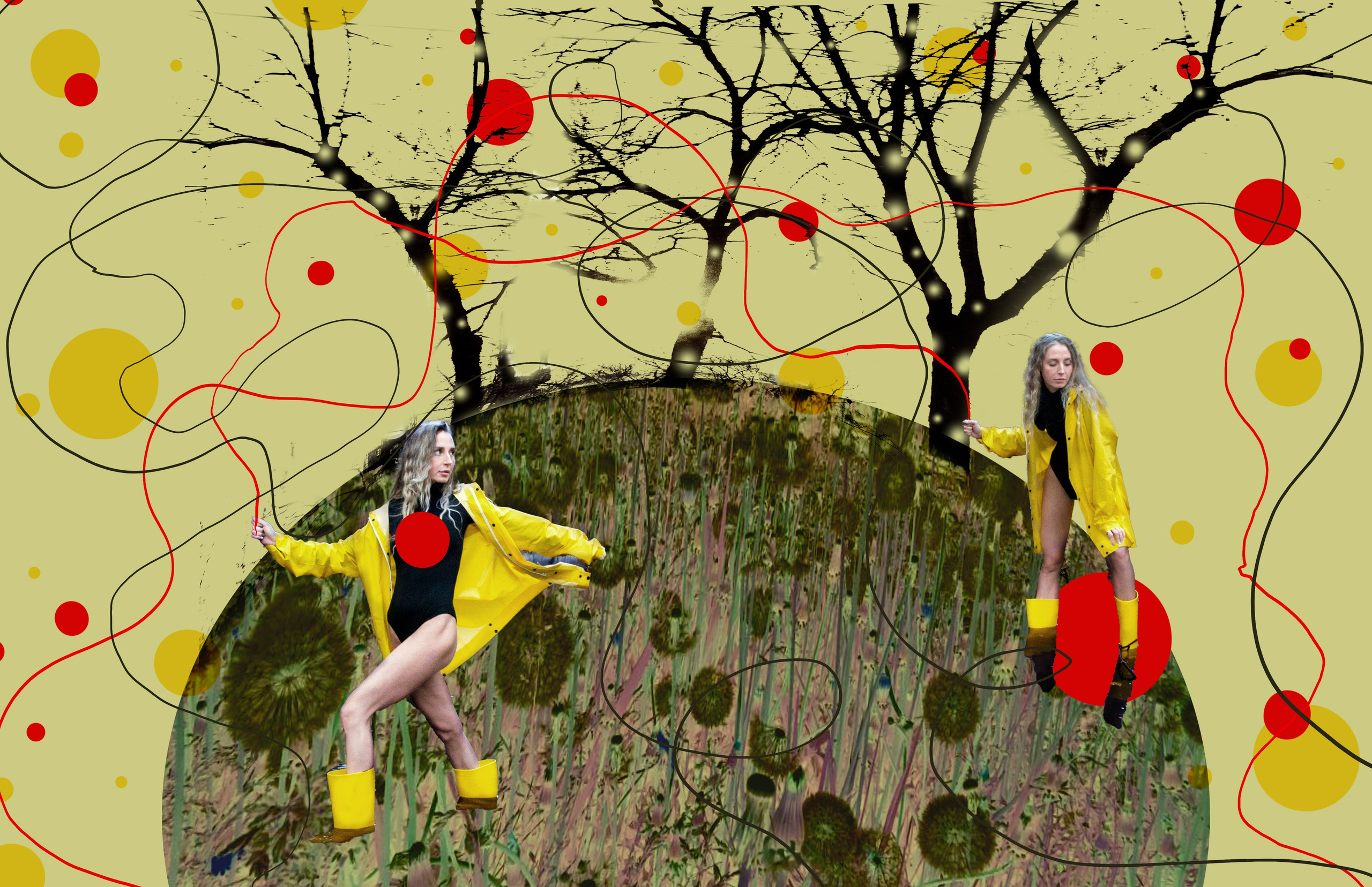 Женщцветы, коллаж, фотография, девушка, фотограф, art, photographer, collage, artist, nft, china, Хабаровск, арт, линии, точки