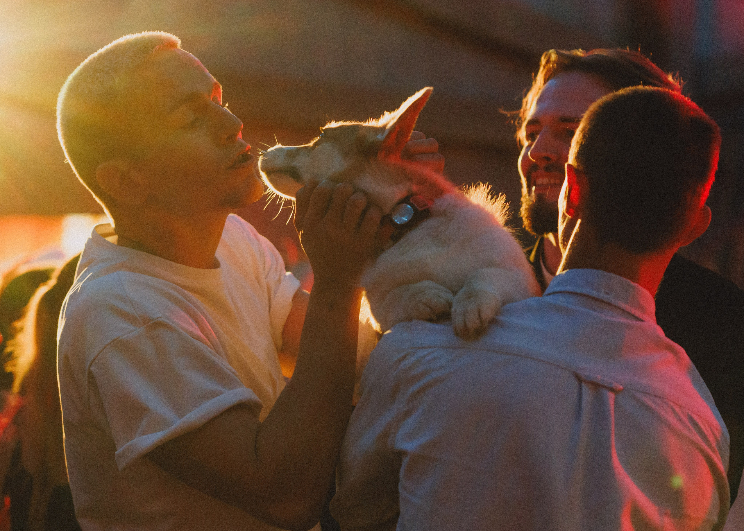RUSSTYLE. Свадебный фотограф Владислав Адышкин