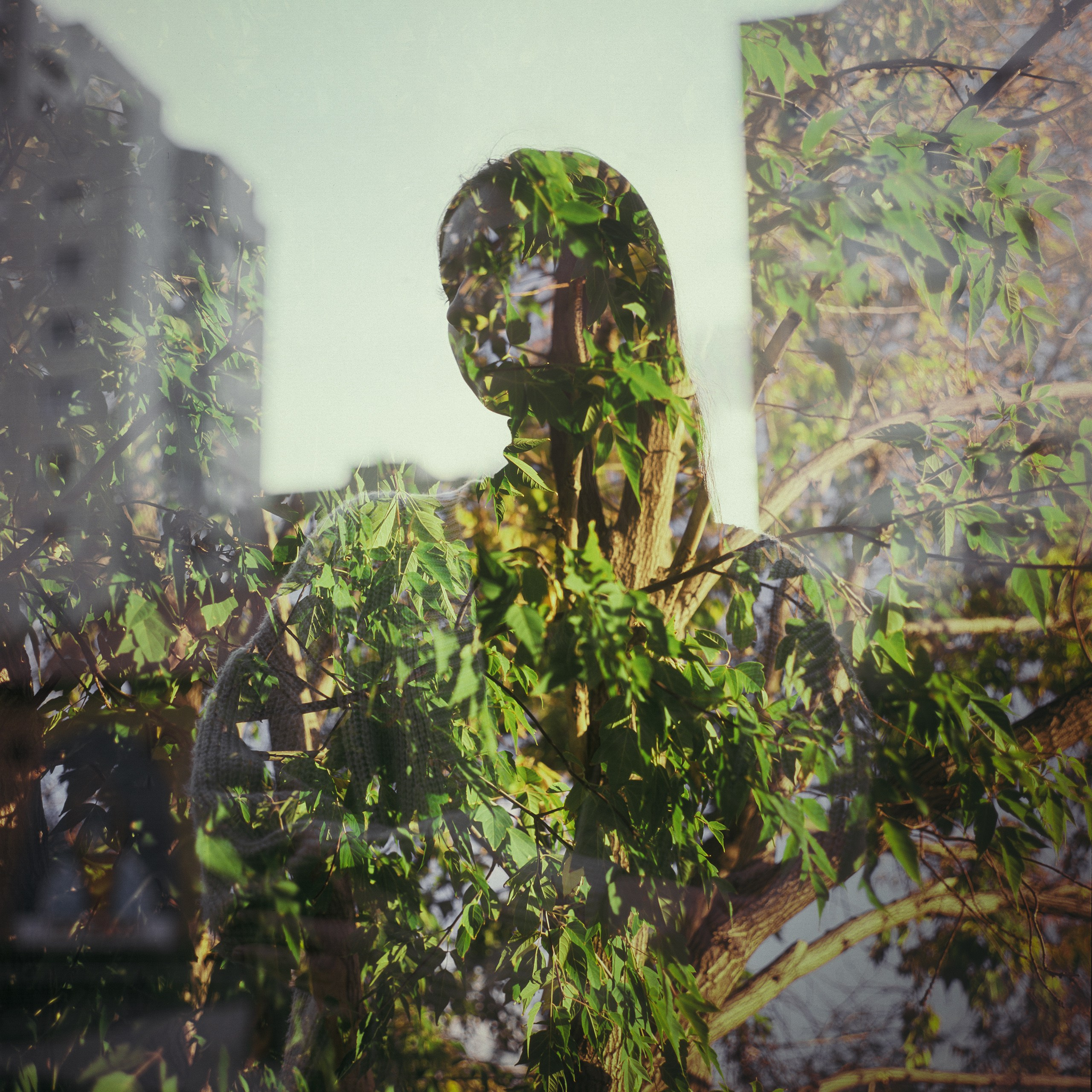 📸 Zenza Bronica EC 🎞️ Fujichrome Provia 100F