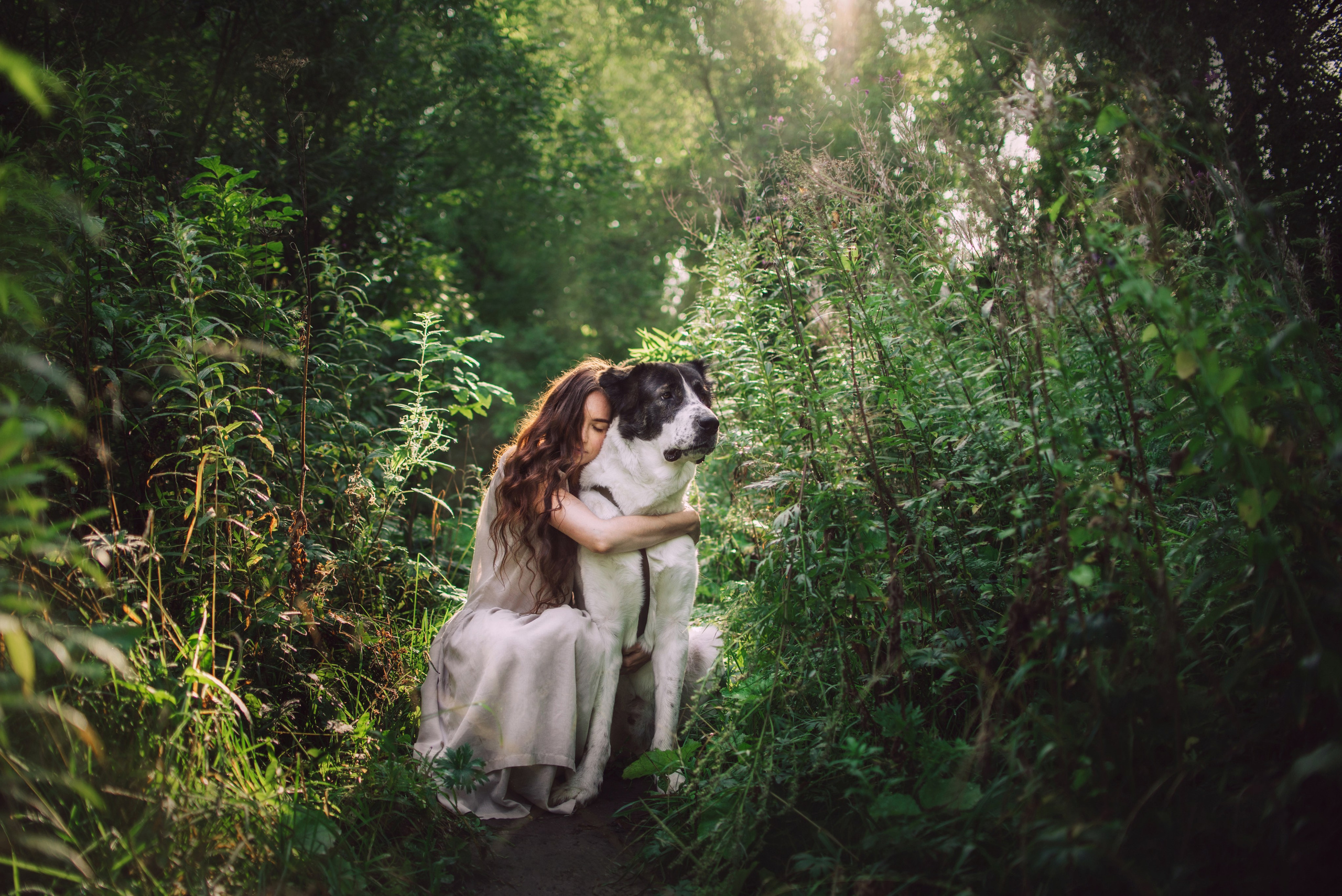 девушка с собакой на рассвете