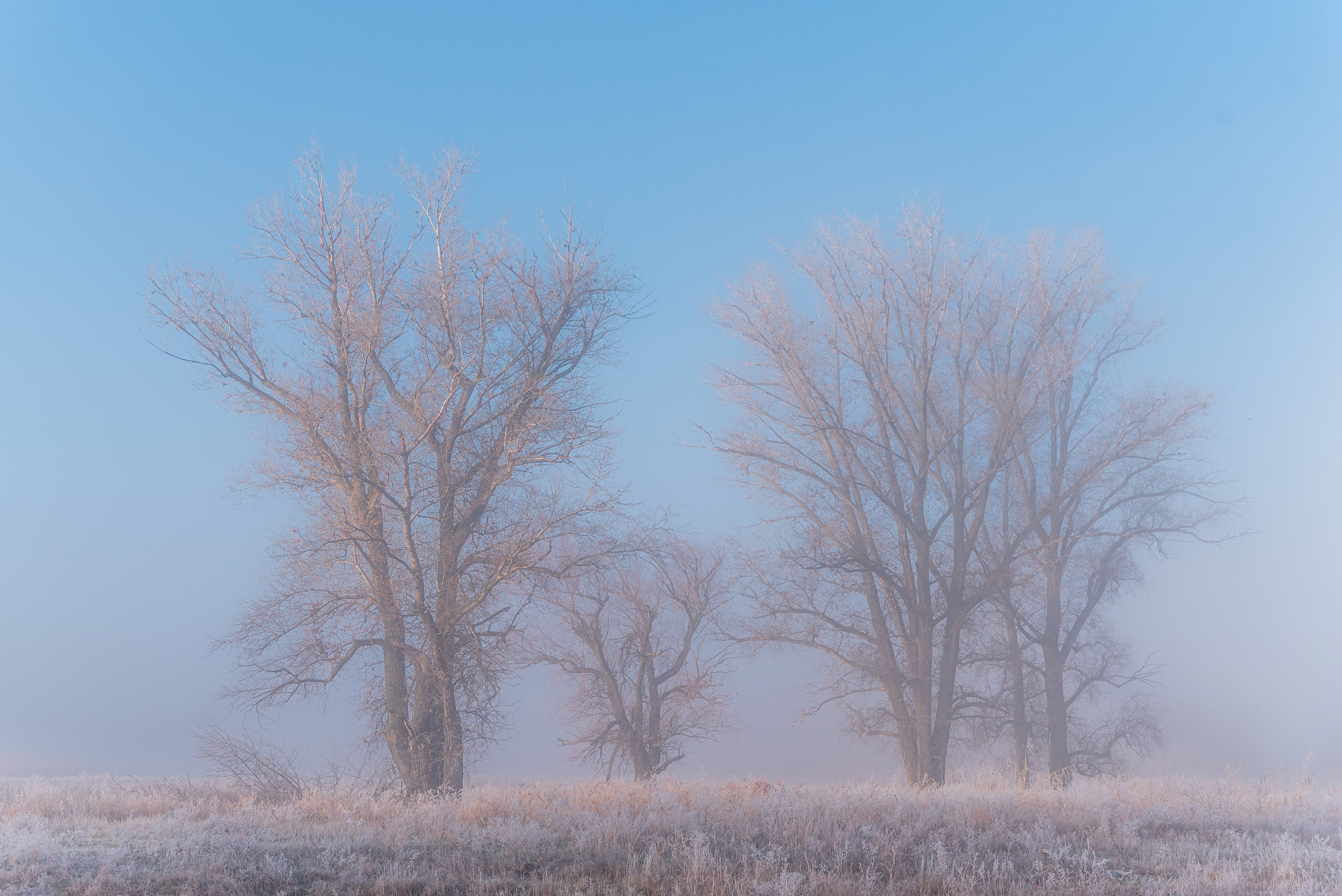 Фотографии утреннего тумана под Волжским. Фотограф в Волгограде и Волжском Александр Горбань