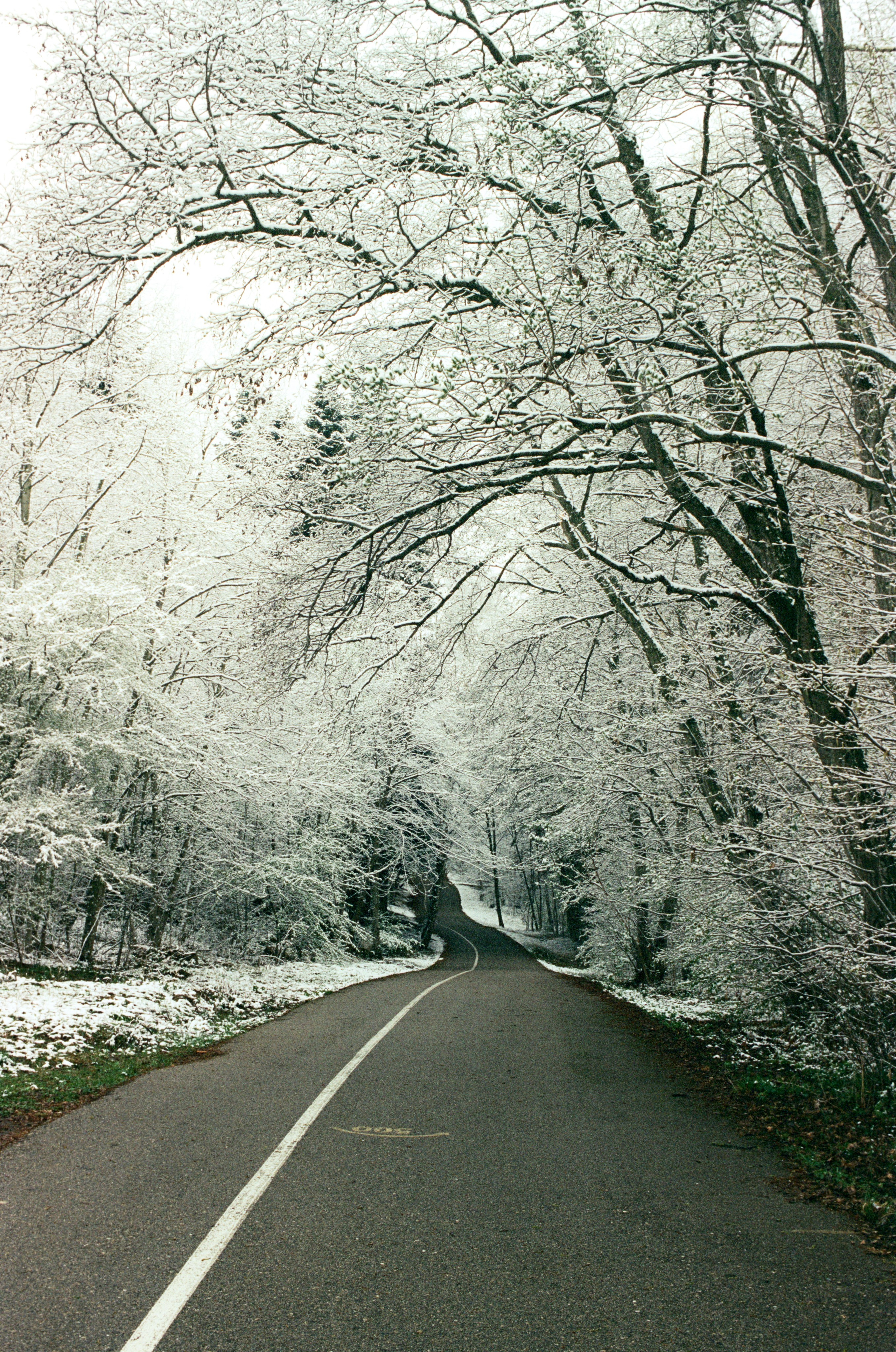 Film. Ruslan UI Dev Page