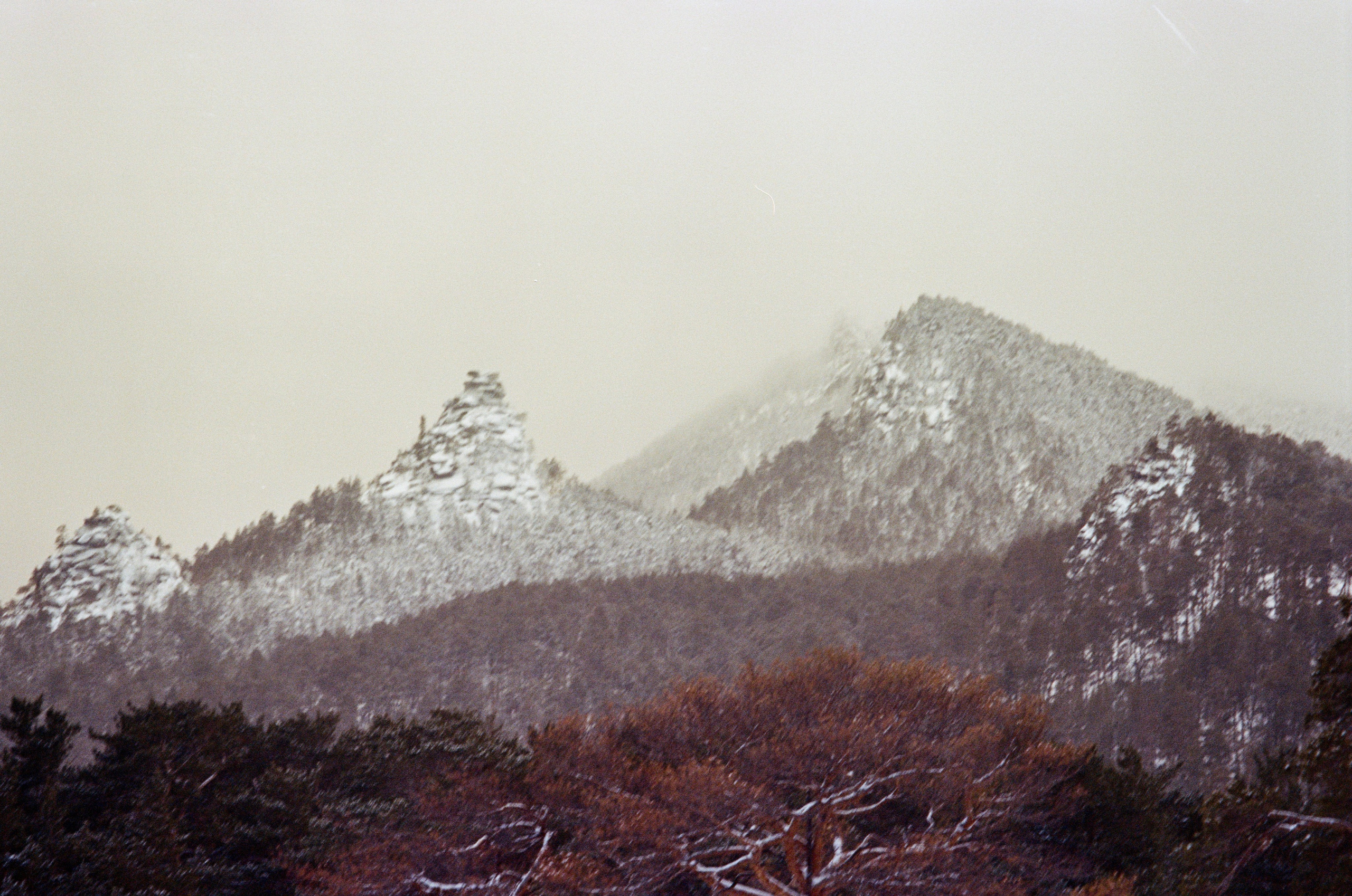 Film. Ruslan UI Dev Page