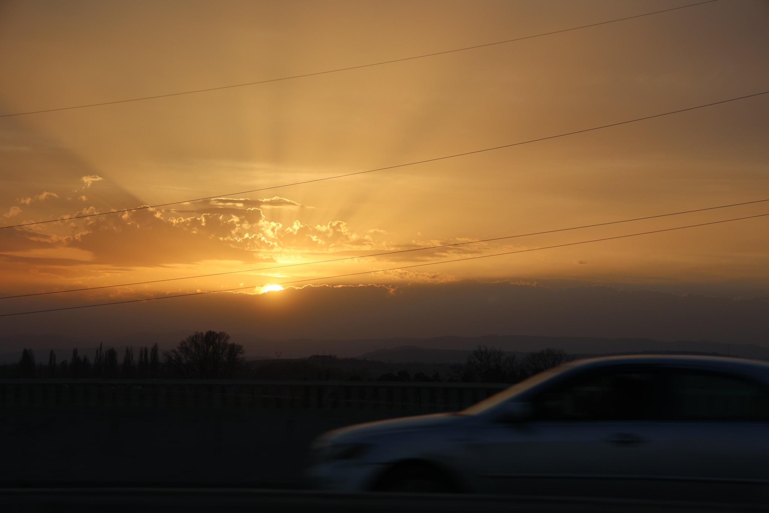 Любимое. Фотограф в Санкт-Петербурге Анна Сосновская