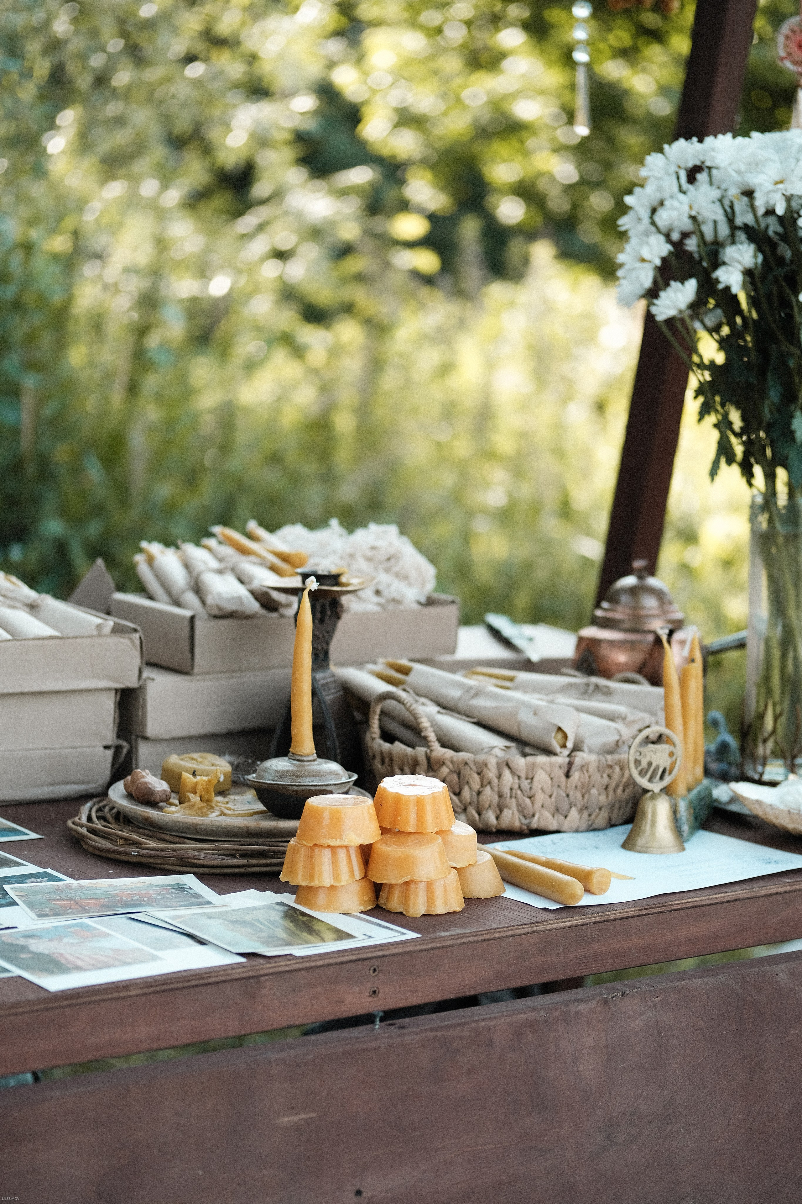 Эко-фестиваль АртЛуга 2023. LIYALEE PHOTO