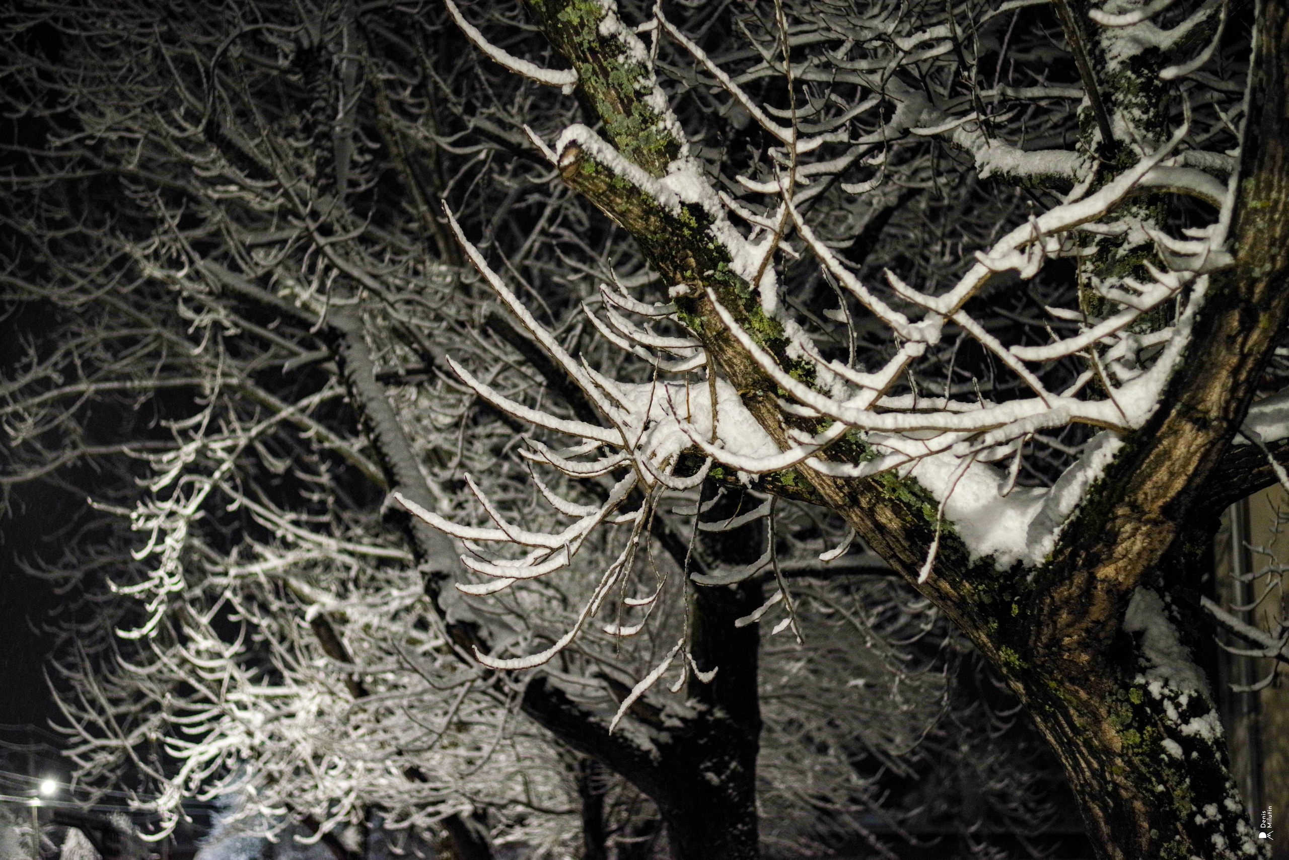 Ночь в Менджи. Портретный фотограф Денис Милютин
