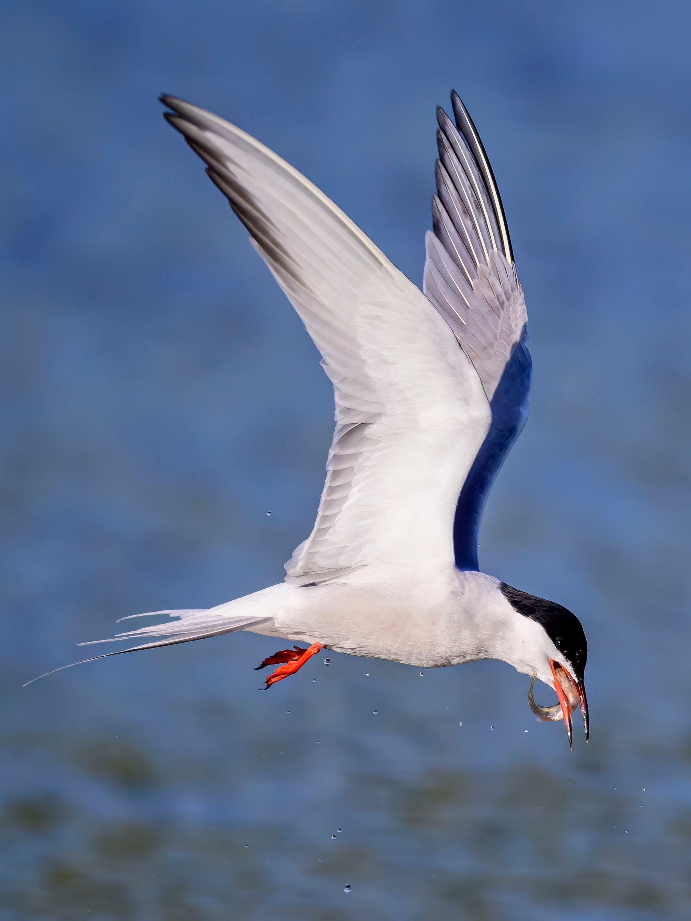 Дмитров. Фотограф Сергей Пупонин