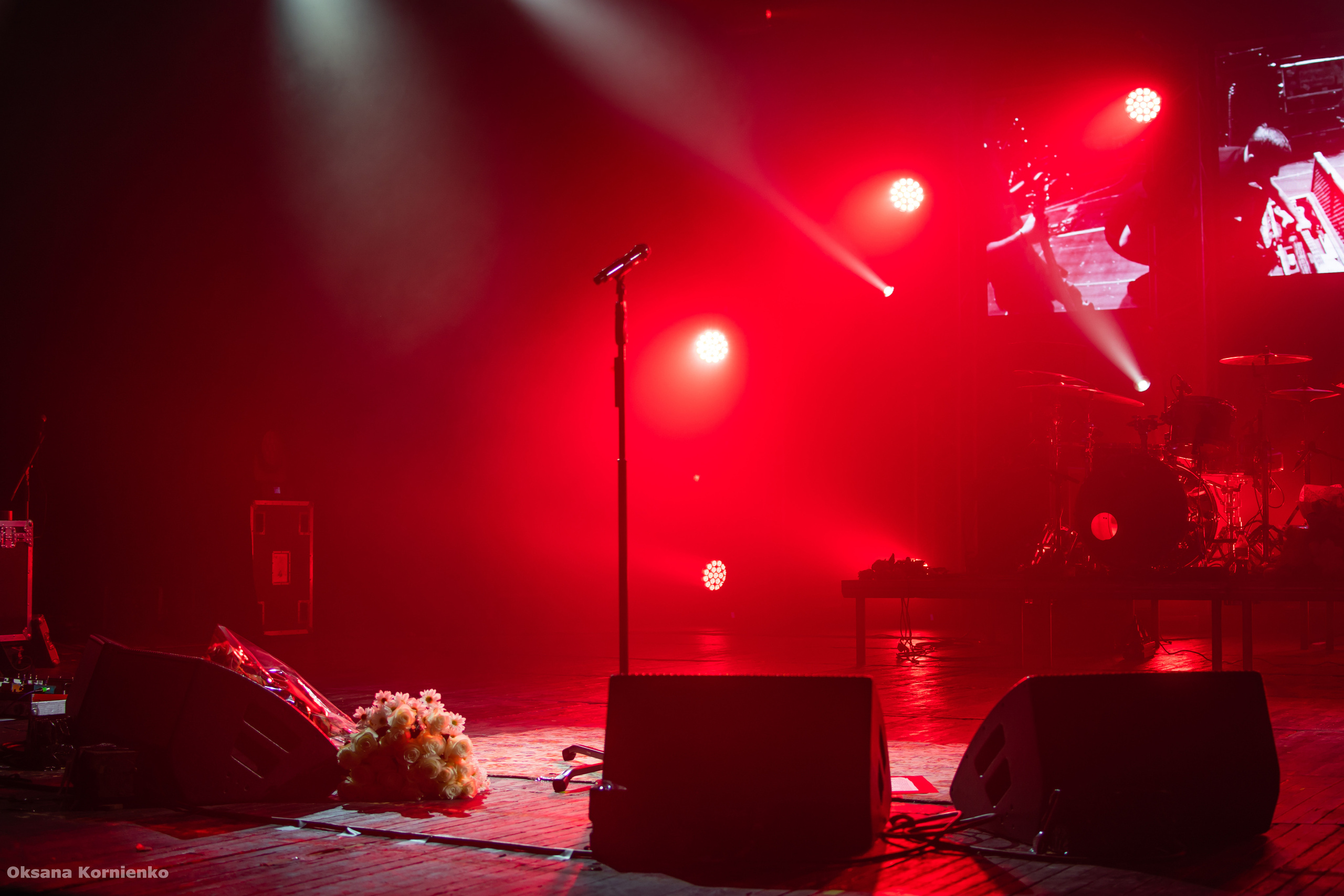 Диана Арбенина. Ночные снайперы. Севастополь 2019 г. Фотограф в Москве, Оксана Ребристая