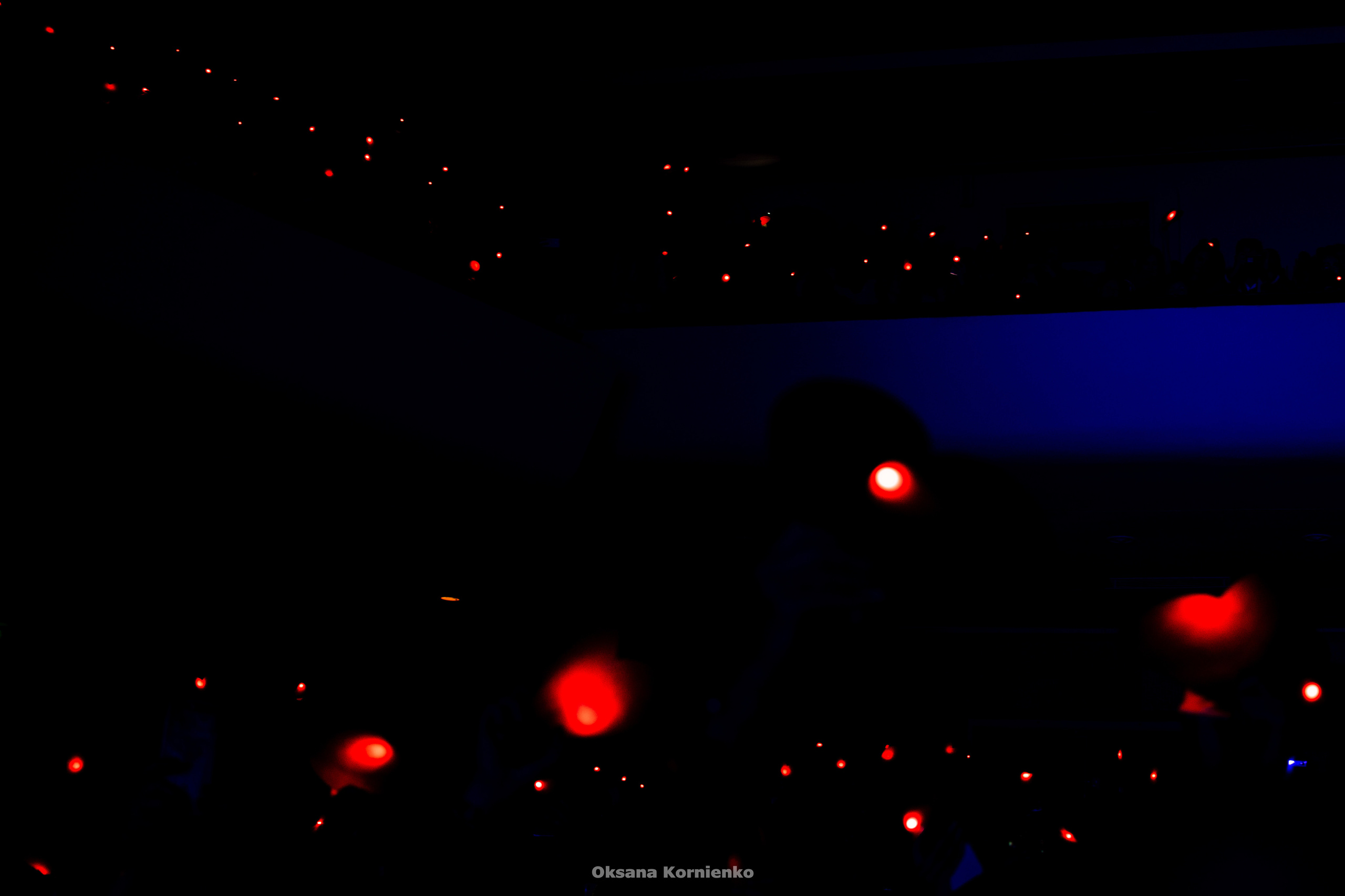 Диана Арбенина. Ночные снайперы. Севастополь 2019 г. Фотограф в Москве, Оксана Ребристая