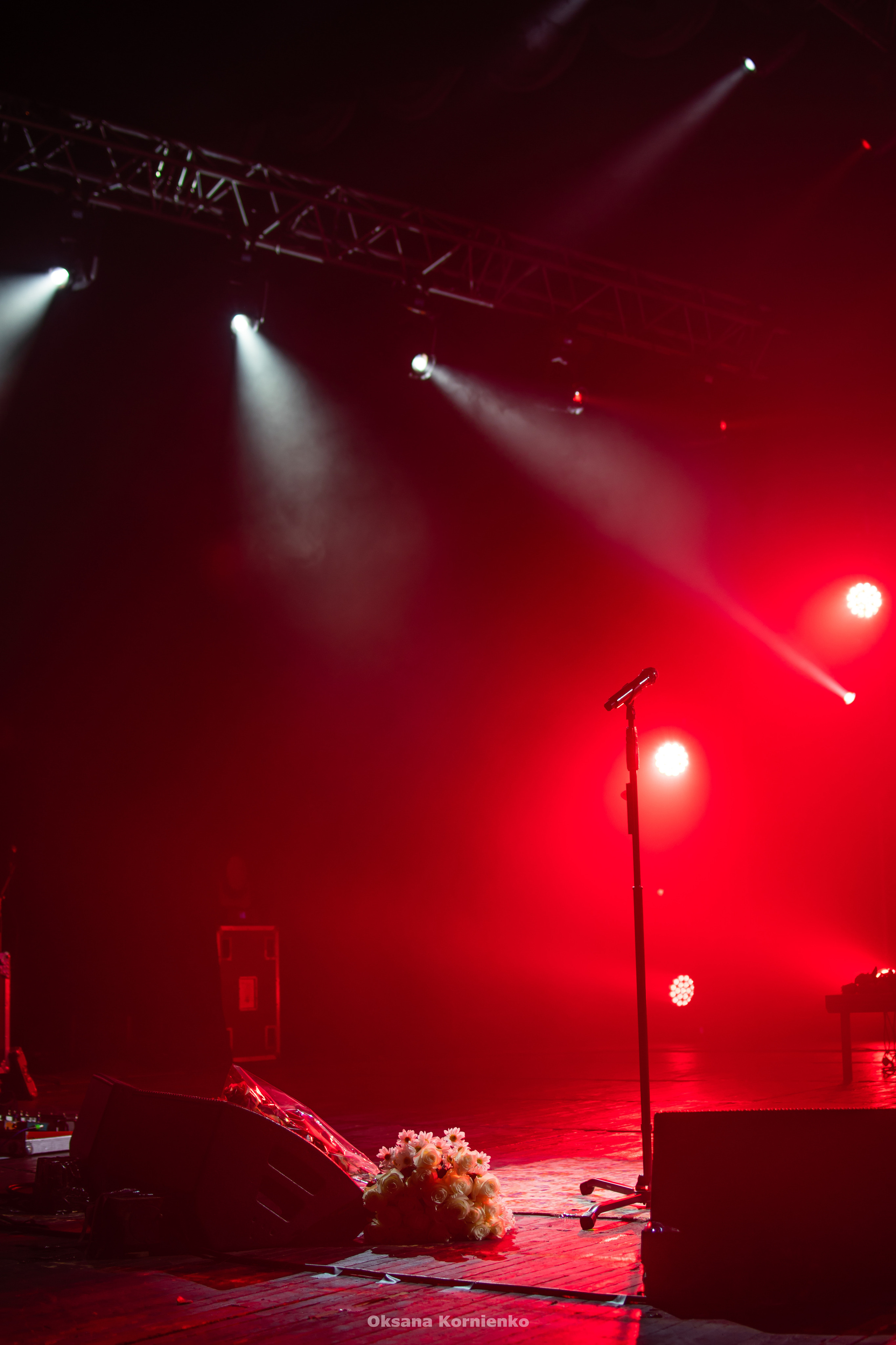 Диана Арбенина. Ночные снайперы. Севастополь 2019 г. Фотограф в Москве, Оксана Ребристая