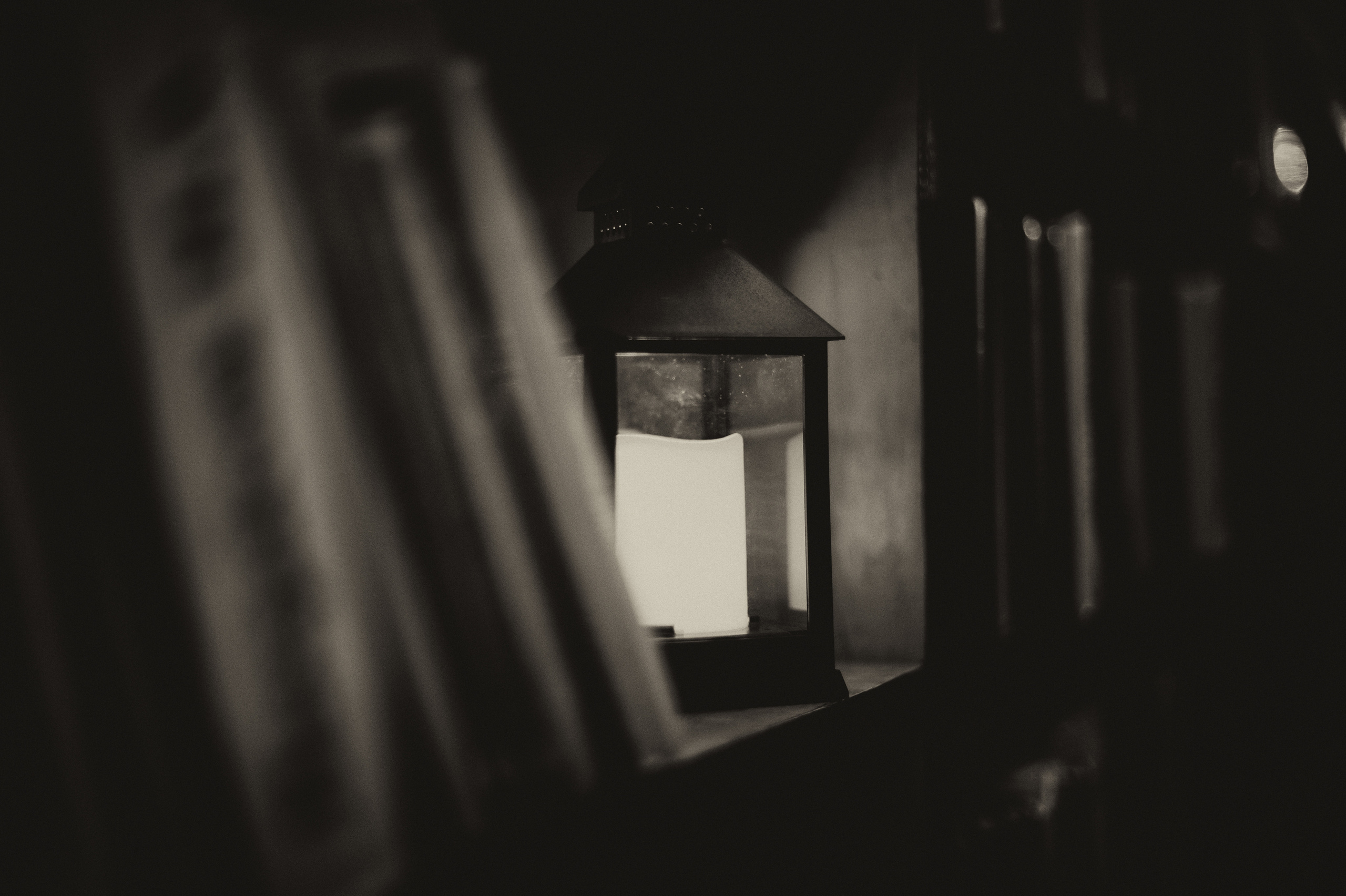 профессиональный фотограф в Севастополе