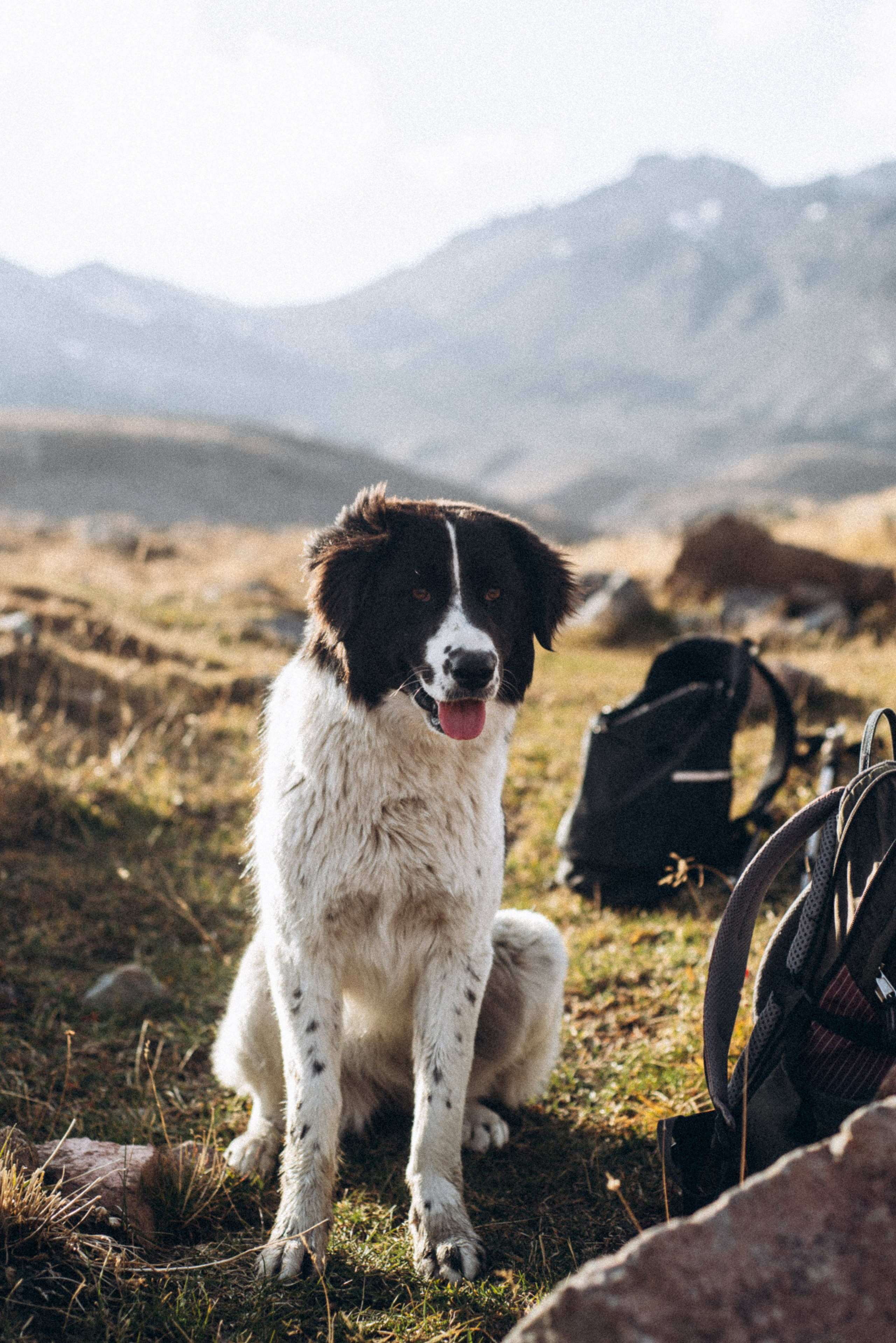 Казбег, Грузия 🇬🇪. Anita_photo