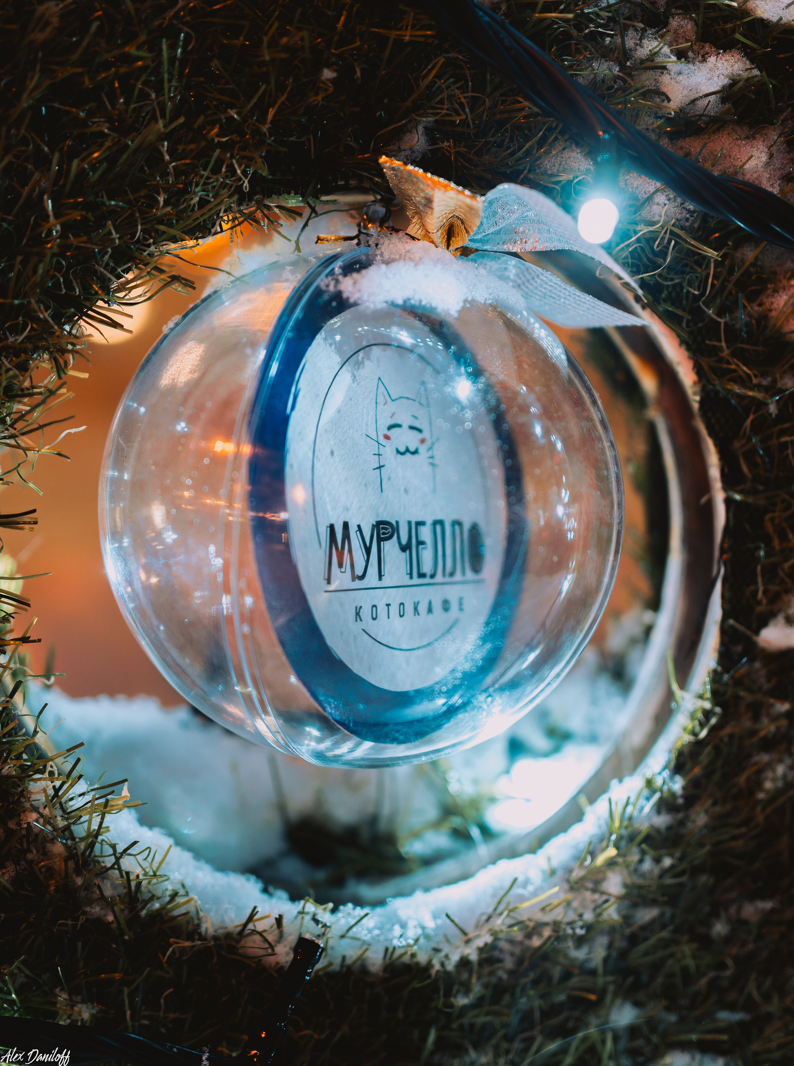 Елки 2025. Муром-Инфо. Новости культуры, образования, спорта в городе Муром