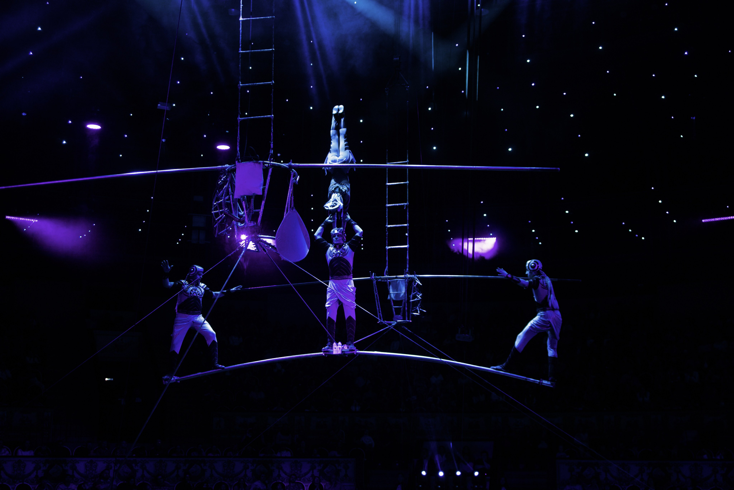 Цирк. Анна Жукова — Режиссёр кино и цирка, сценарист, фотограф