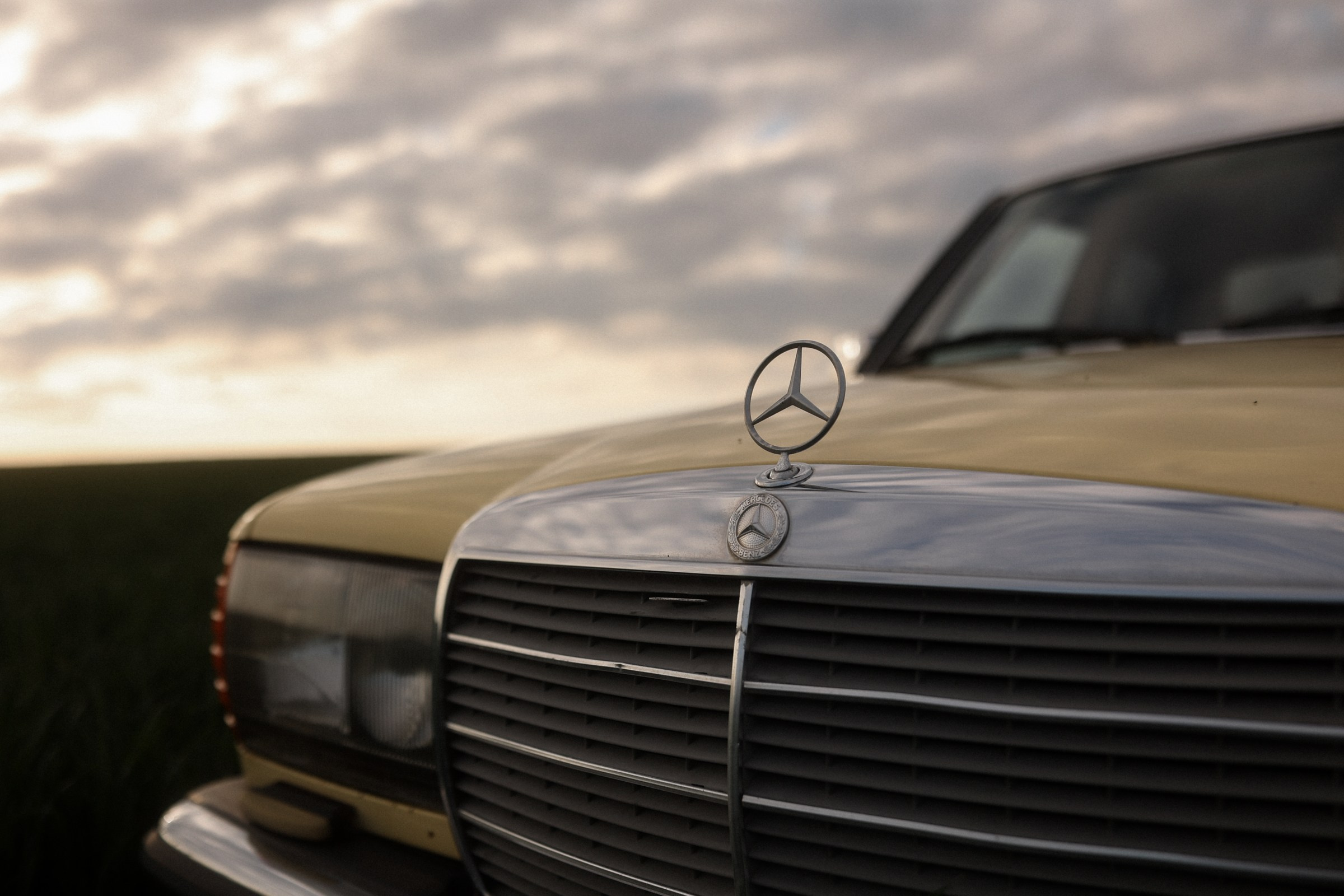 В поле. Фотограф в Севастополе и Крыму Артем Волобуев