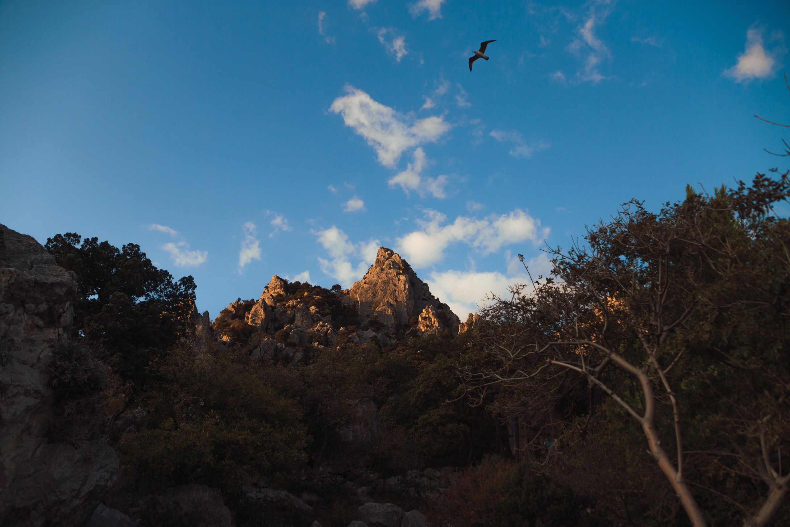 Много гуляли. Семен Соколов