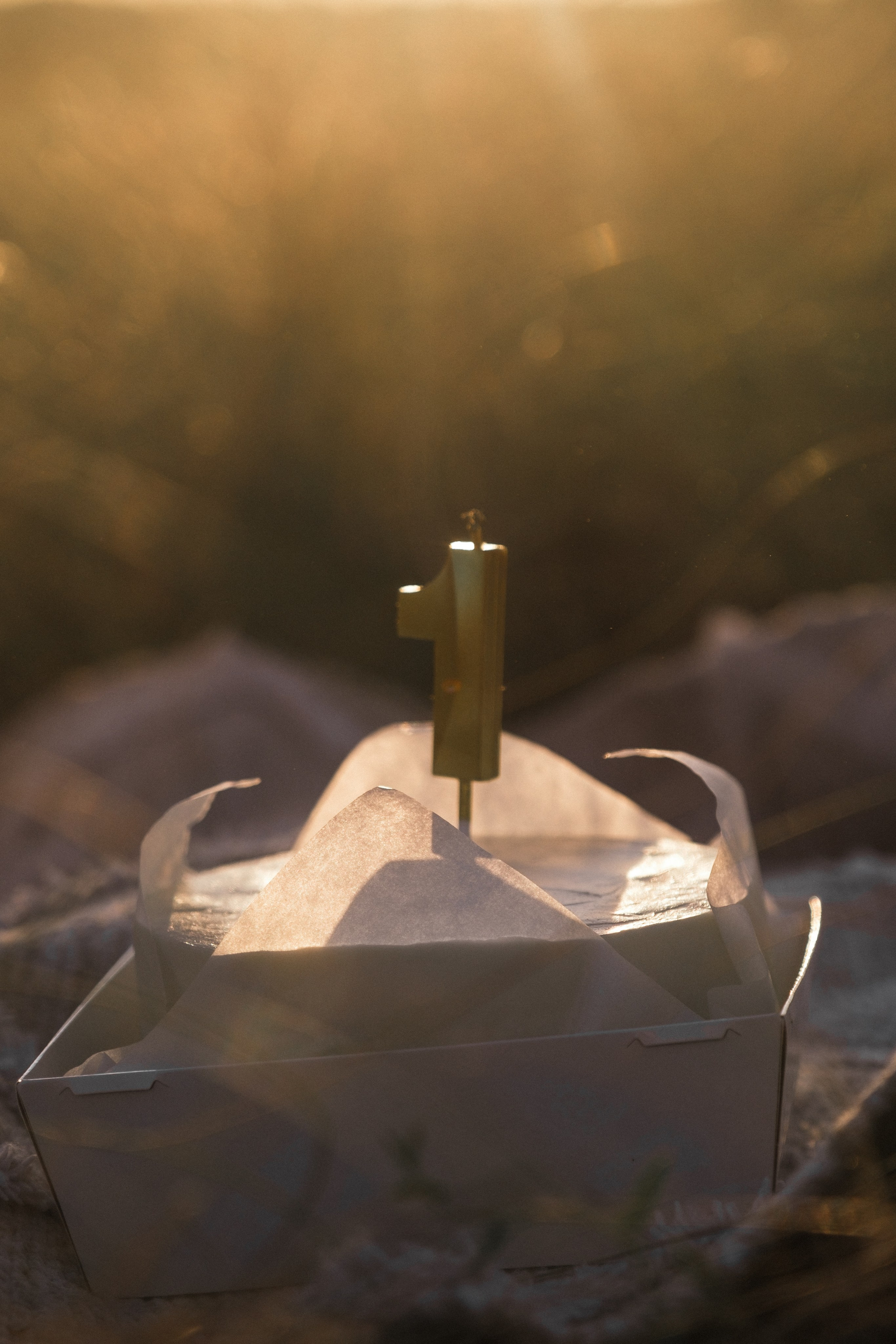 Вика, Дима и Мирон. Свадебный и семейный фотограф в Волгограде