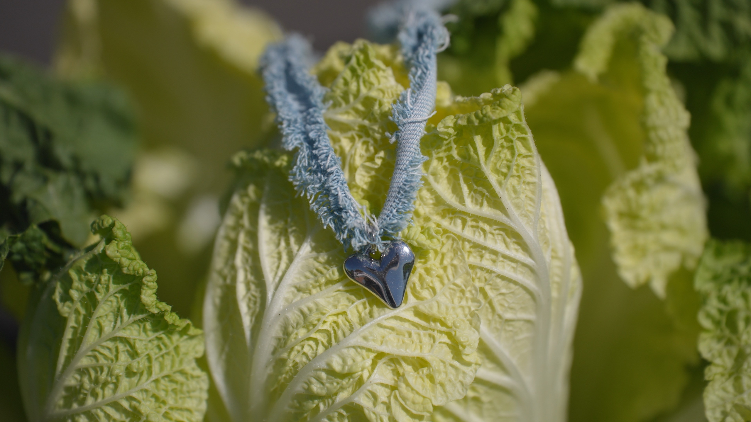 Александр и Кристина. Агата Акварель видеограф Сочи Краснодар