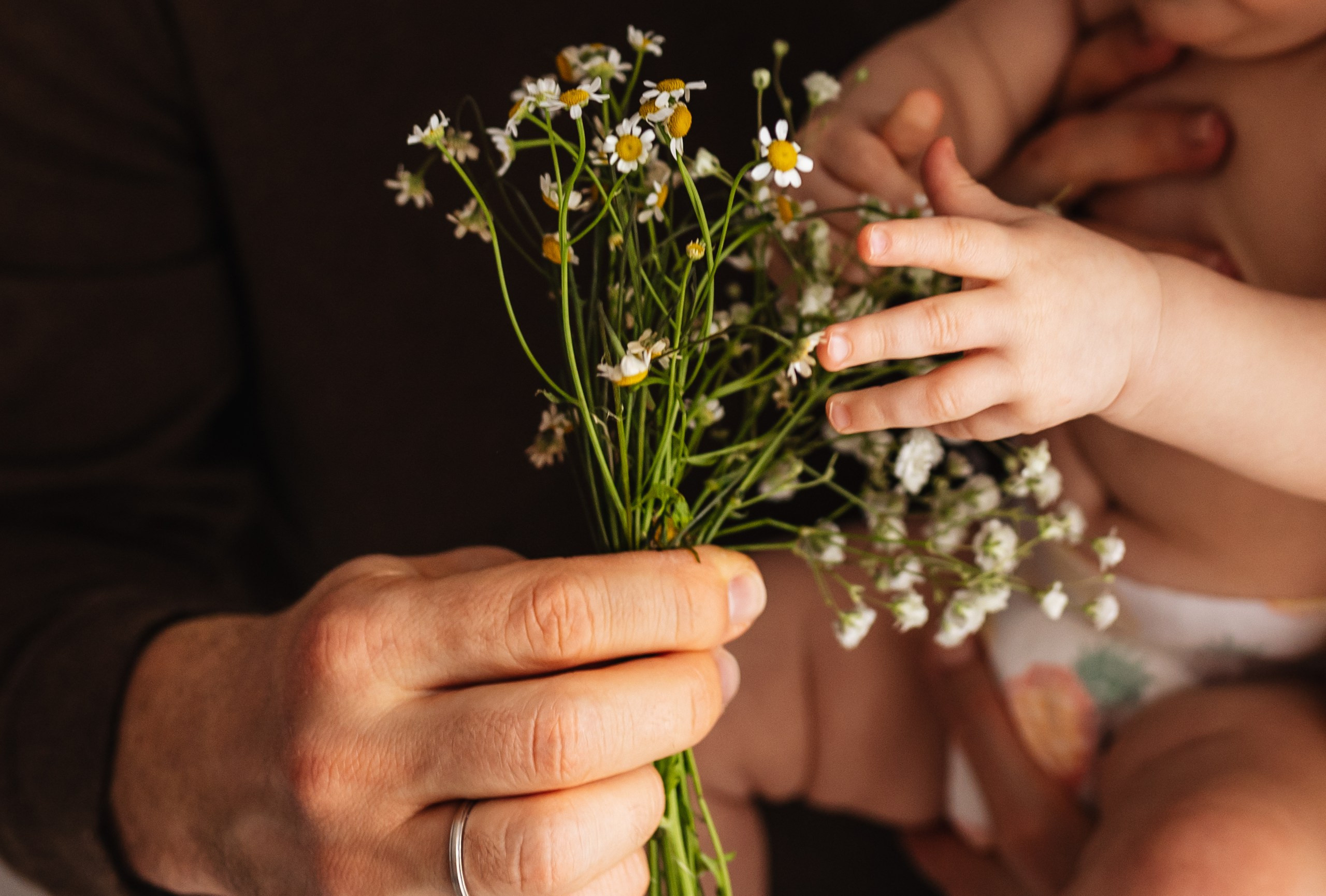 Ромашки для Есении. Семейный фотограф Юлия Роберт. Москва