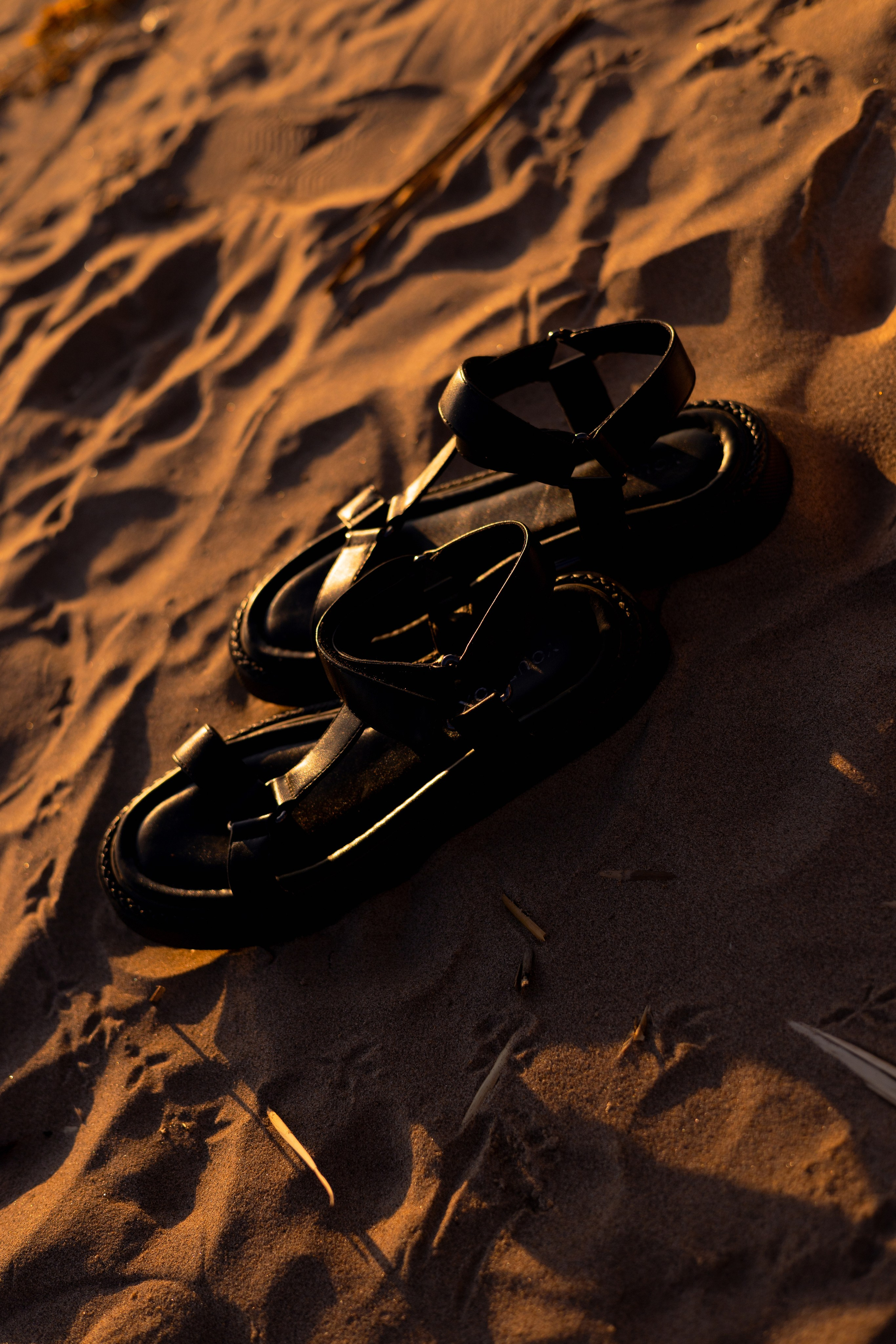 На закате.). Портретный, семейный фотограф в Санкт-Петербурге и Ленинградской области Виктория Соловьёва