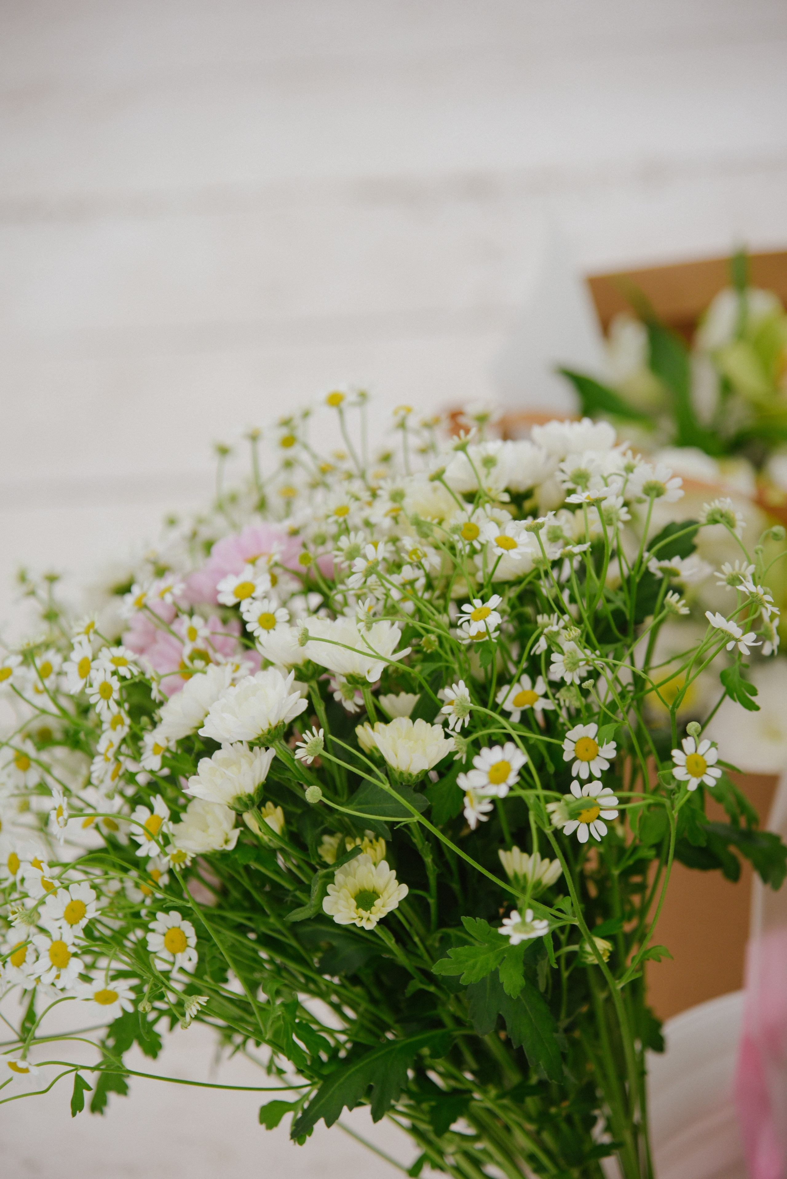 Два лучших дня. Фотограф Лола Волна, город Москва