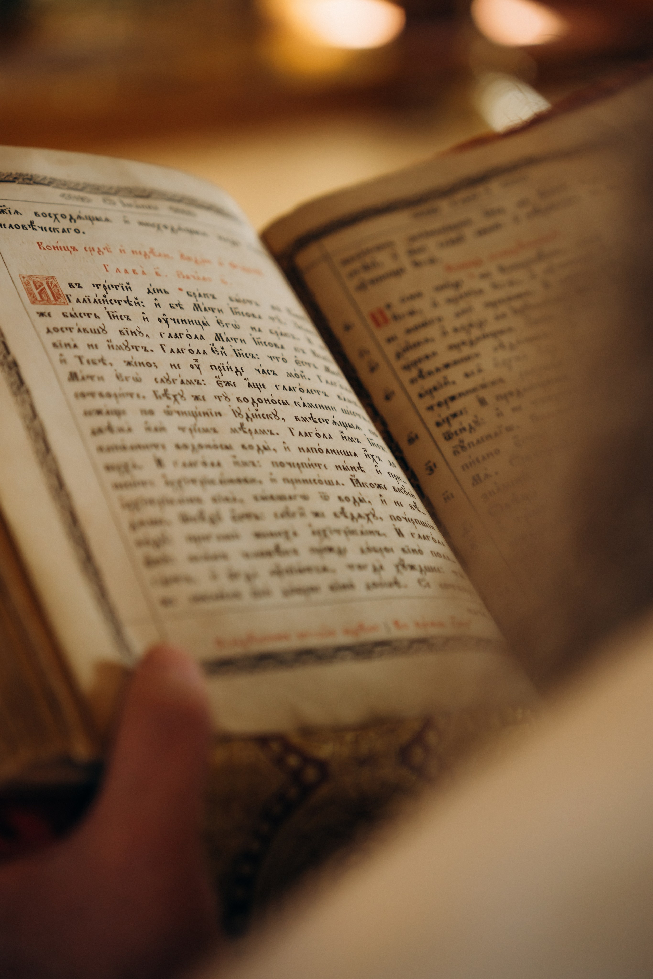 Владимир и Елисавета. Ирина Гонтарева|Фотограф|Белгород